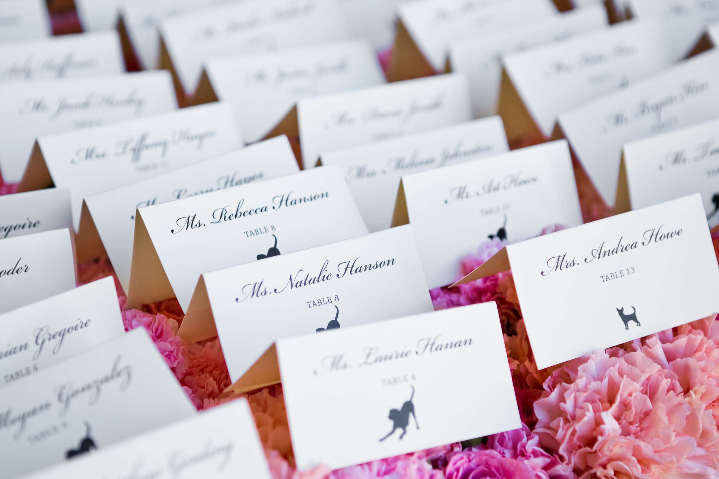 Name Cards at Rancho Bernardo Inn Wedding coordinated by Details Defined, Lisa and Mick Wedding Photo #109380 by True Photography