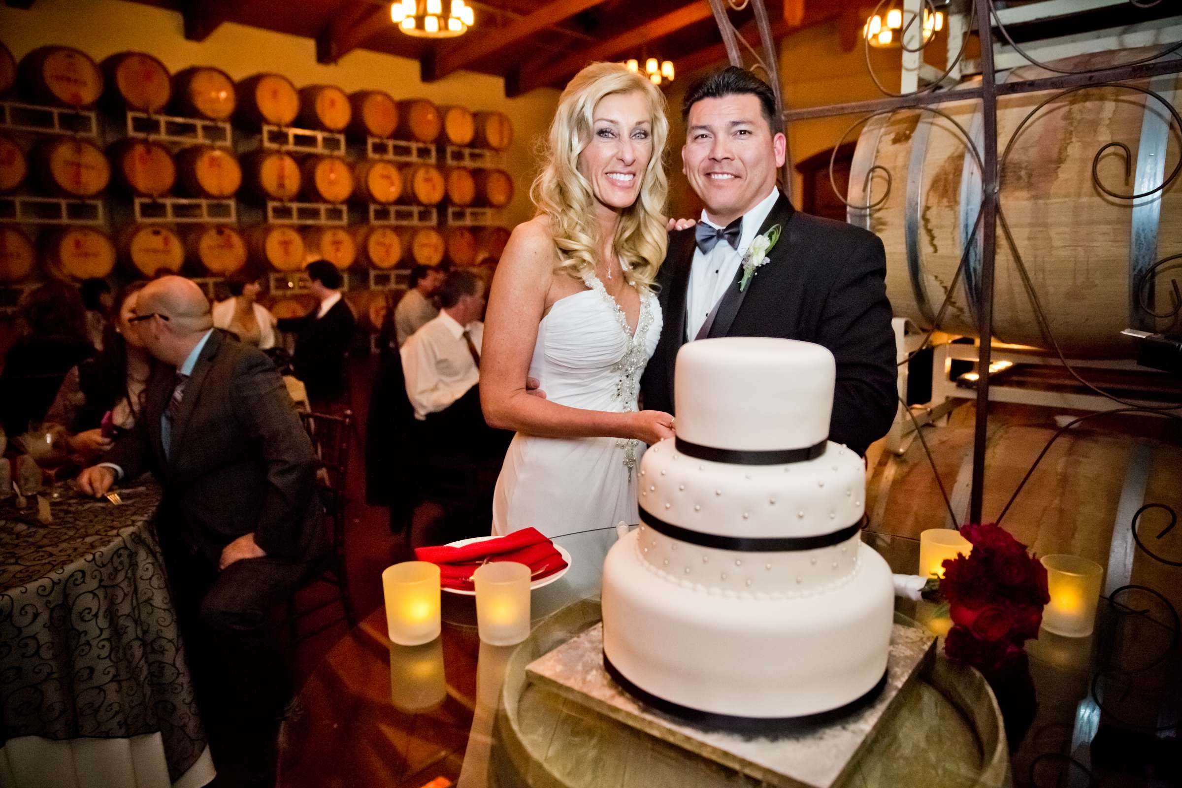 Ponte Estate Winery Wedding, Aleida and Bob Wedding Photo #113636 by True Photography