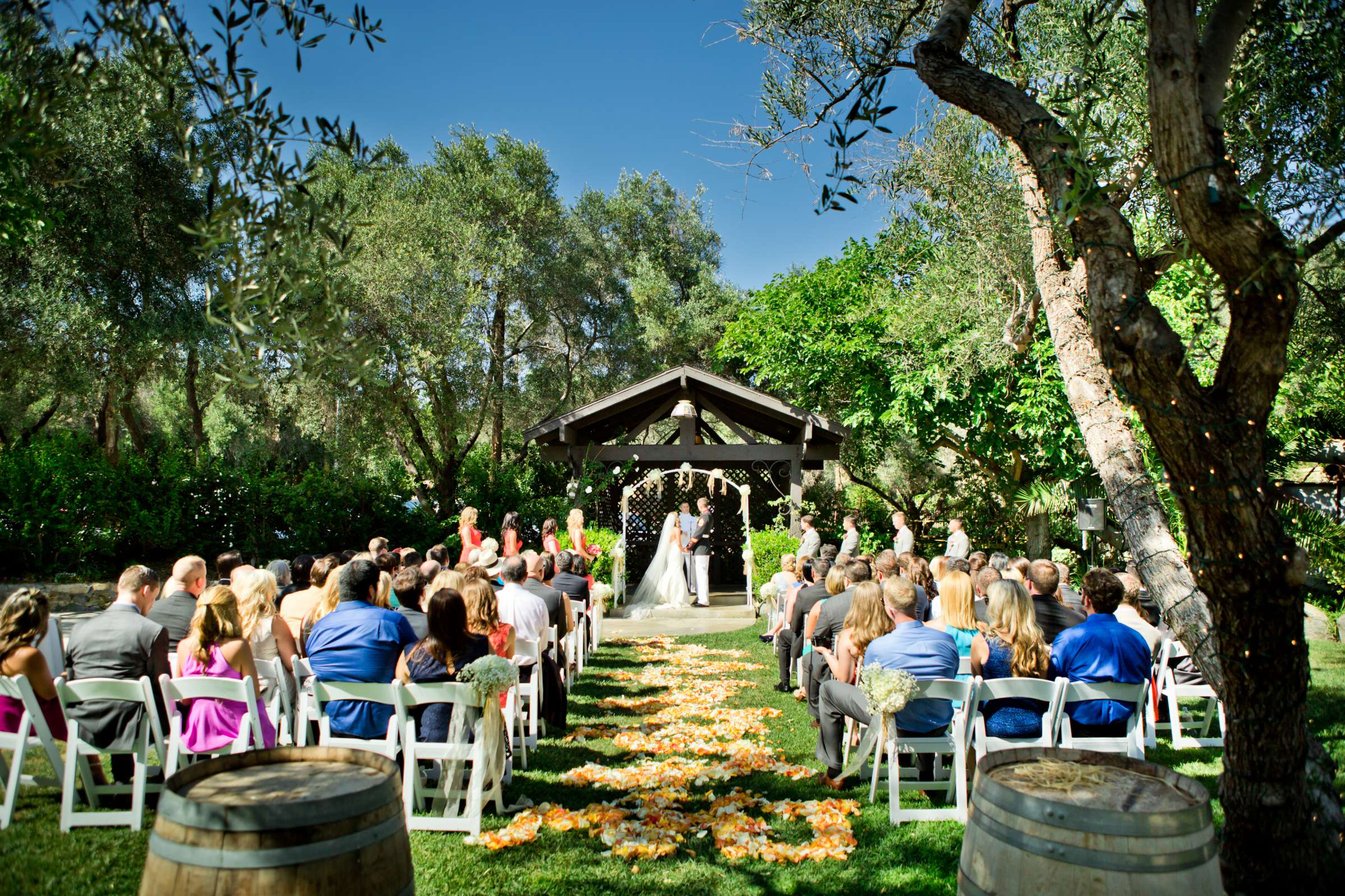Forest at Bernardo Winery Wedding, Meagan and James Wedding Photo #118675 by True Photography