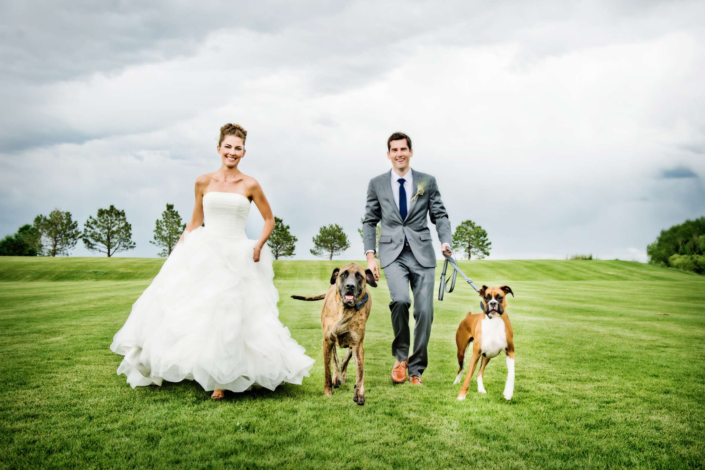 Pets, At the Park at Denver Botanic Gardens at Chatfield Wedding coordinated by Revel and Bloom, Sandra and Craig Wedding Photo #8 by True Photography