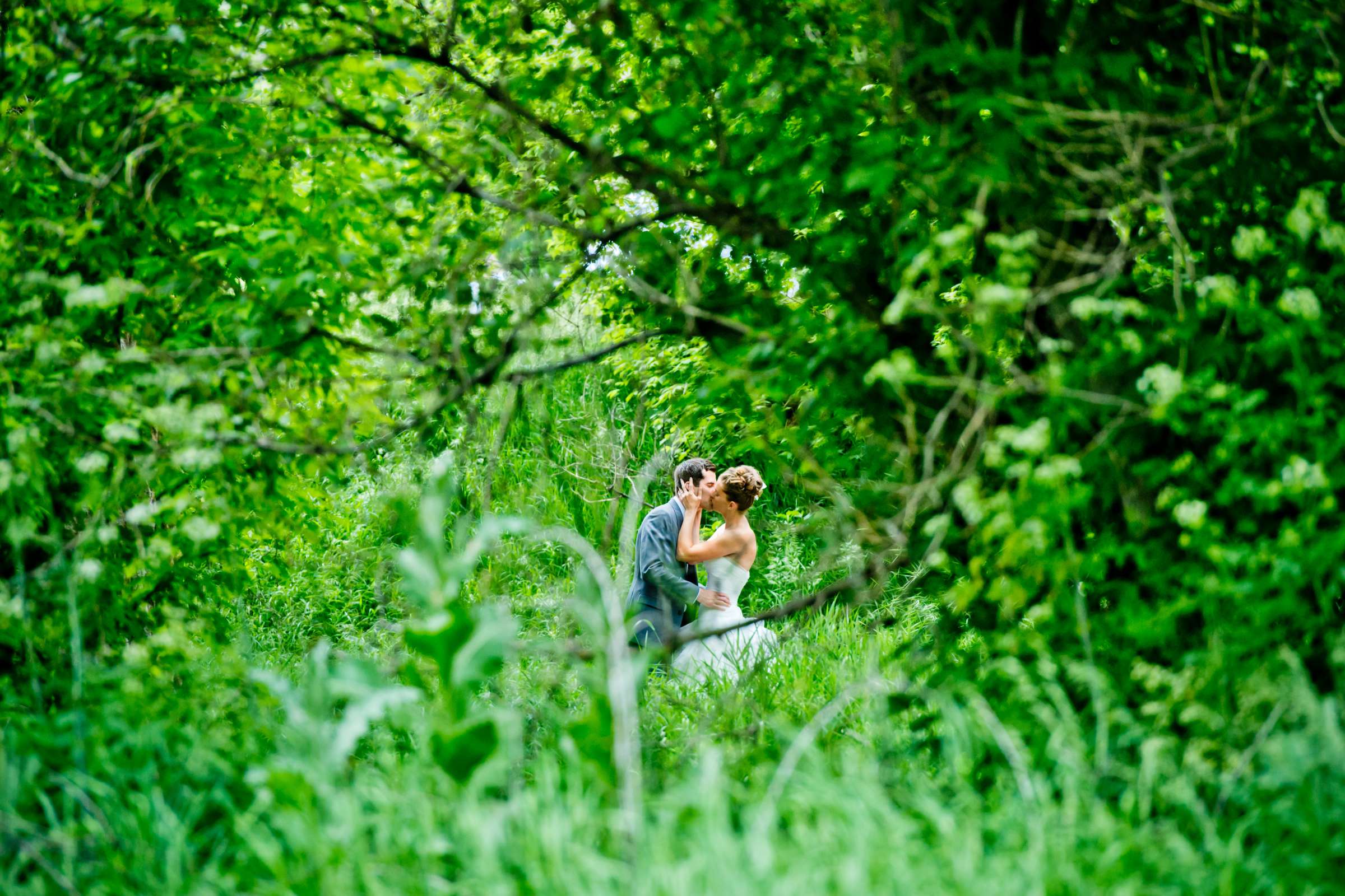 Forest, Artsy moment, Romantic moment at Denver Botanic Gardens at Chatfield Wedding coordinated by Revel and Bloom, Sandra and Craig Wedding Photo #11 by True Photography