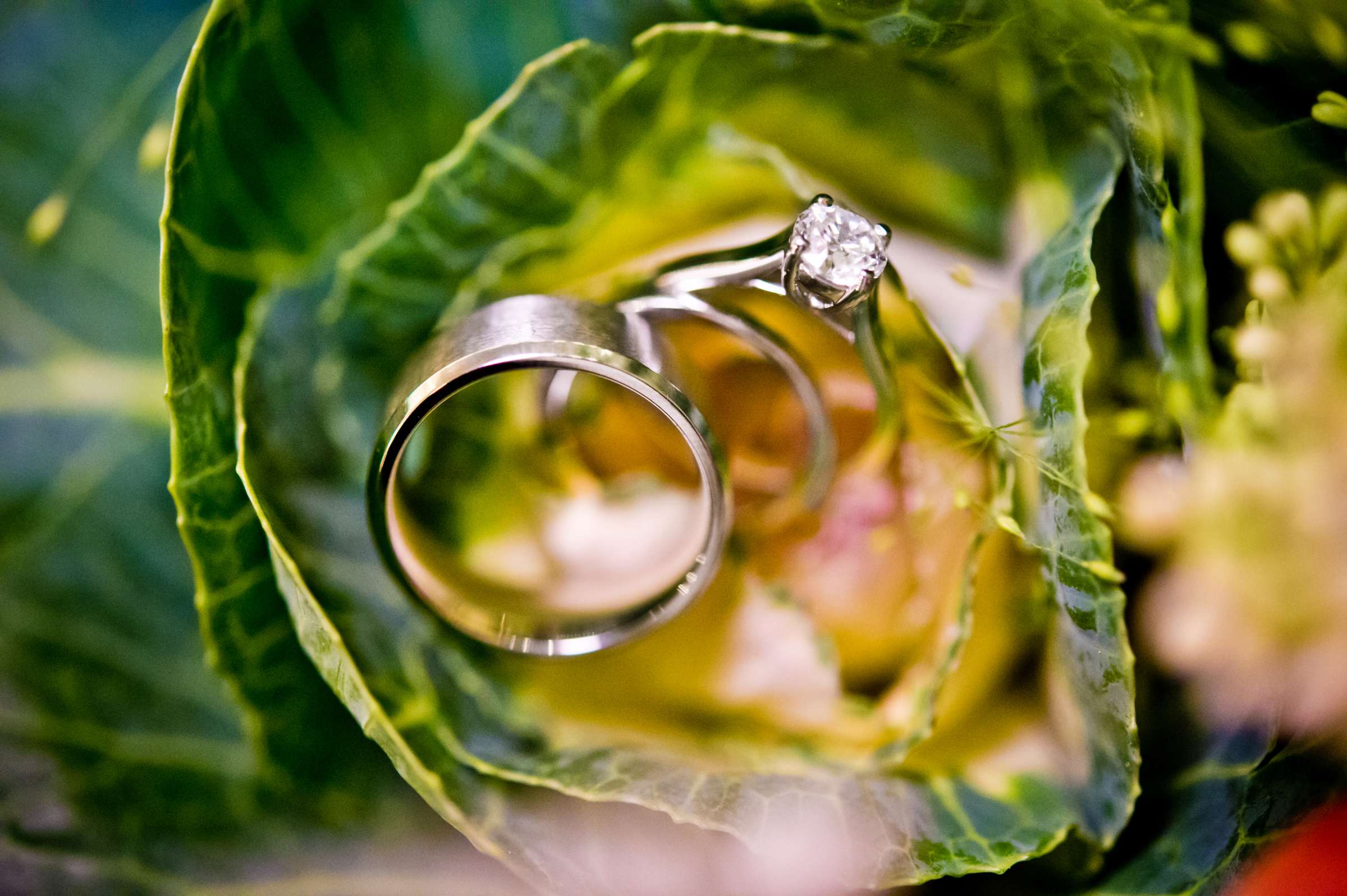 Rings at Denver Botanic Gardens at Chatfield Wedding coordinated by Revel and Bloom, Sandra and Craig Wedding Photo #22 by True Photography