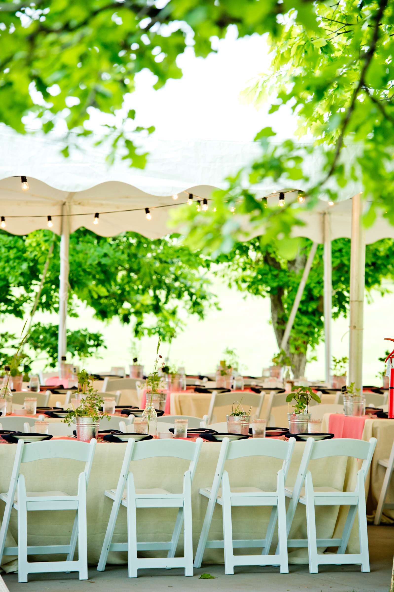 Table Shots at Denver Botanic Gardens at Chatfield Wedding coordinated by Revel and Bloom, Sandra and Craig Wedding Photo #75 by True Photography