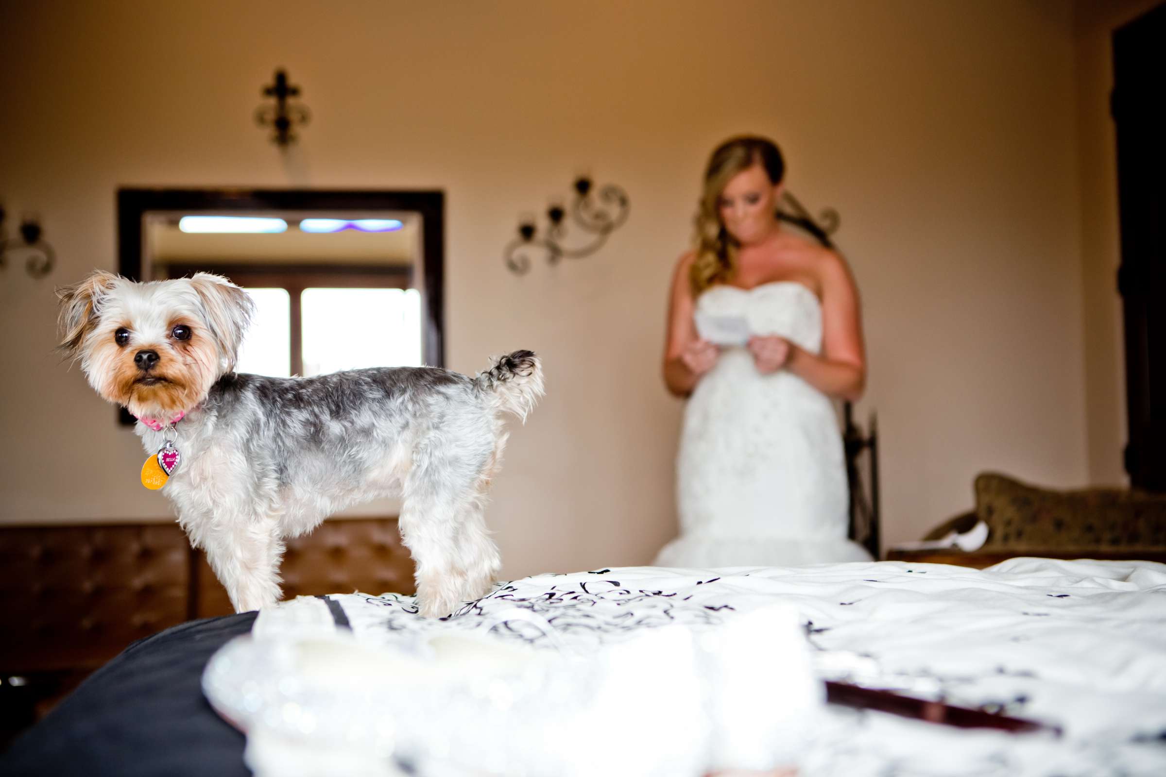 Private Residence Wedding, Laura and Kristen Wedding Photo #119539 by True Photography
