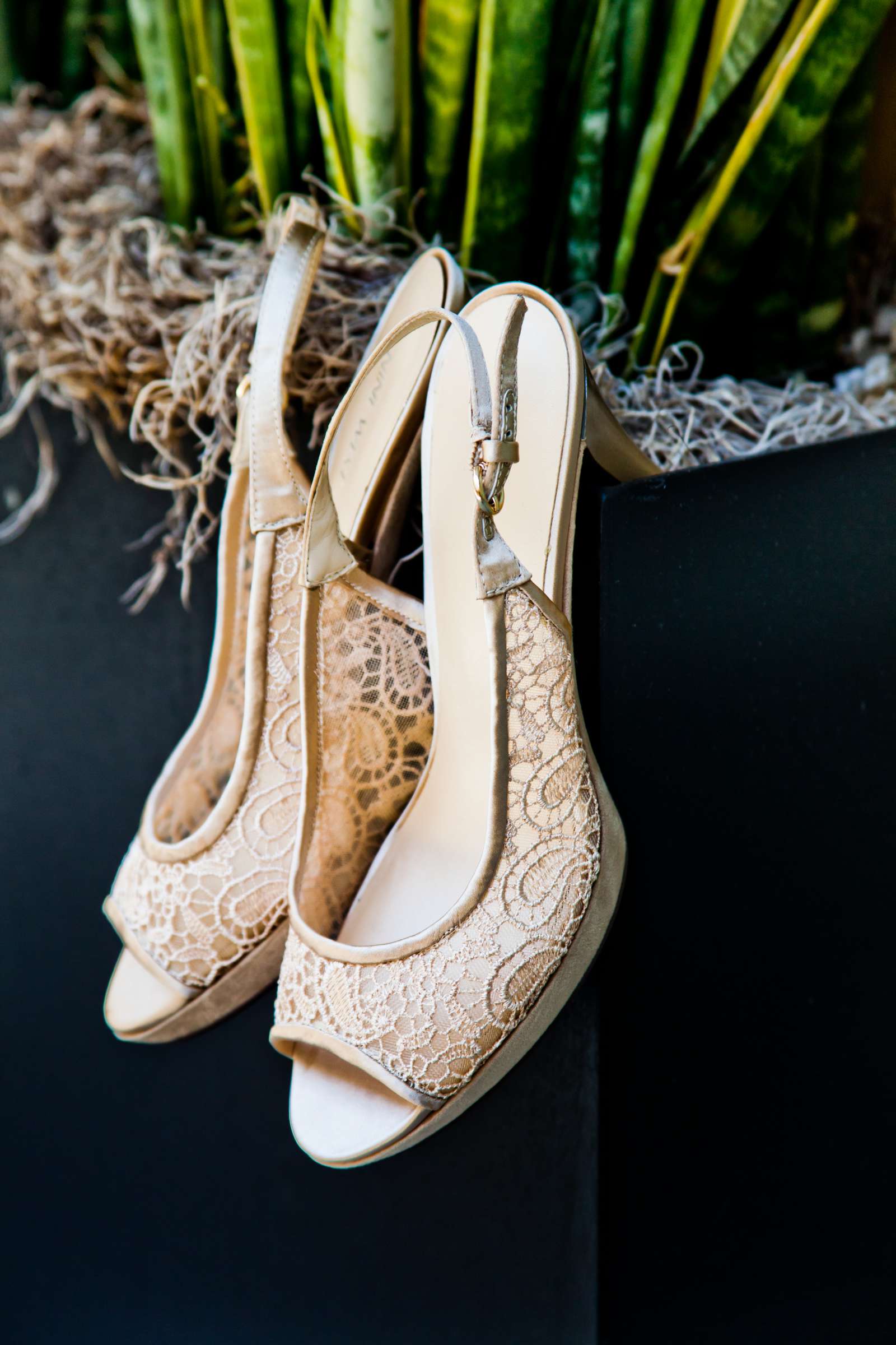 Shoes at The Abbey Wedding, Francesca and Michael Wedding Photo #119824 by True Photography
