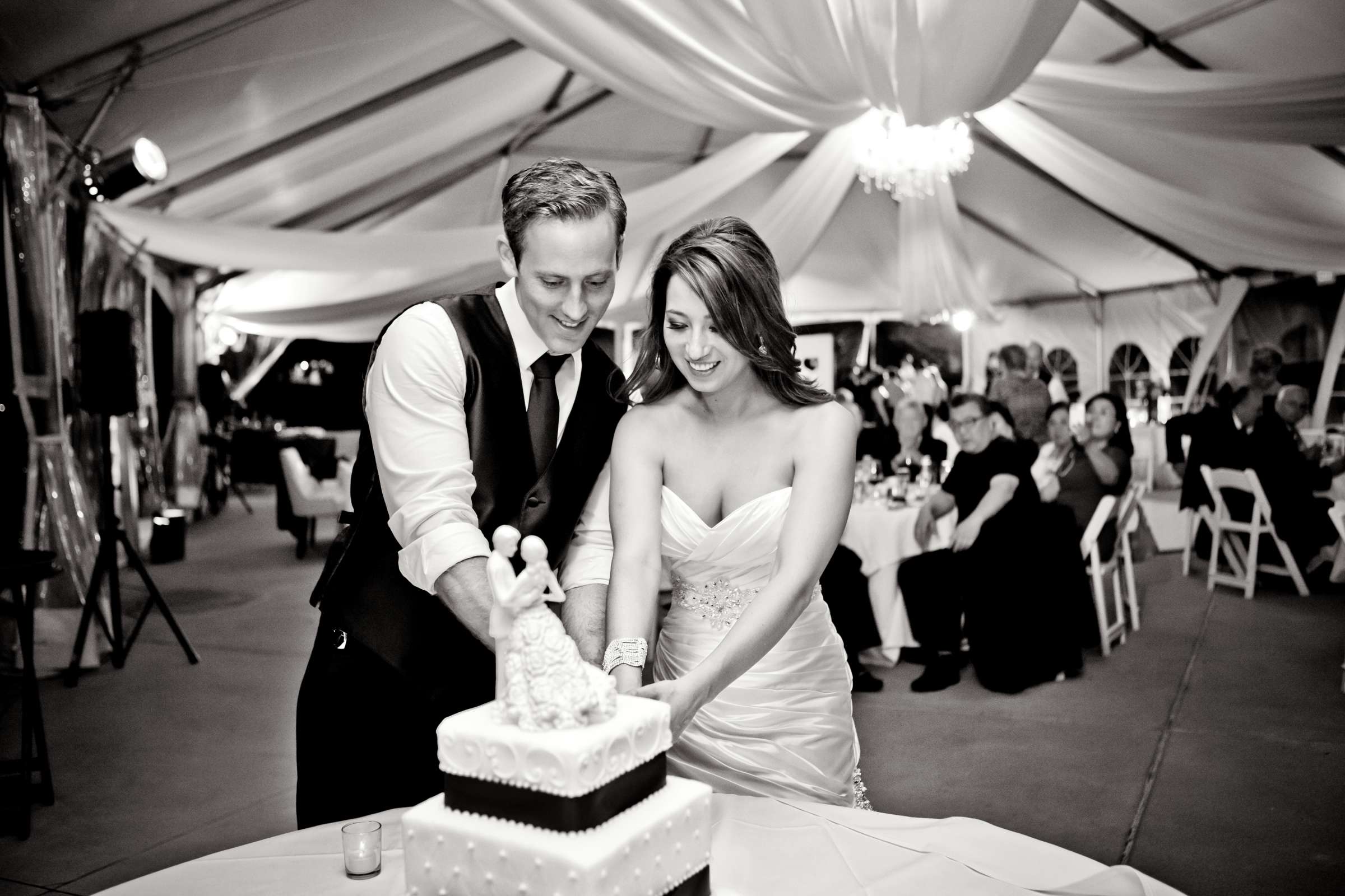 Cake Cutting at Coronado Island Marriott Resort & Spa Wedding, Tiffany and Bill Wedding Photo #48 by True Photography