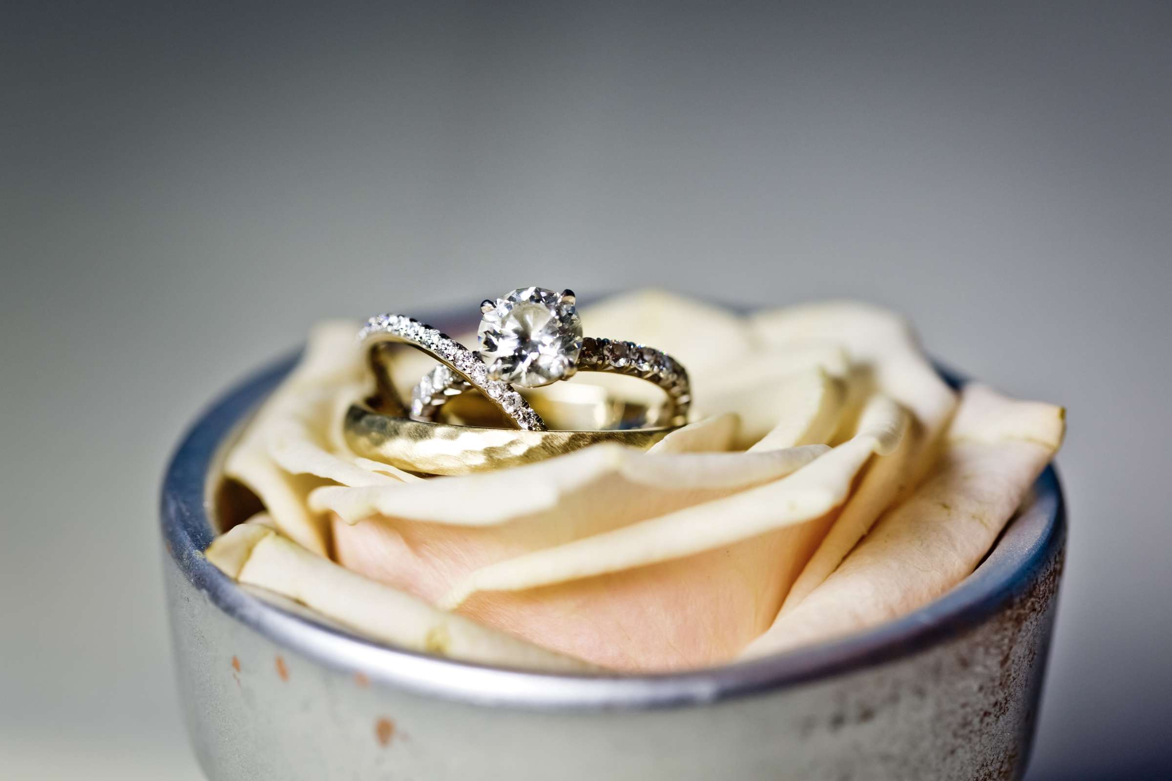 Rings at, Photo #9 by True Photography