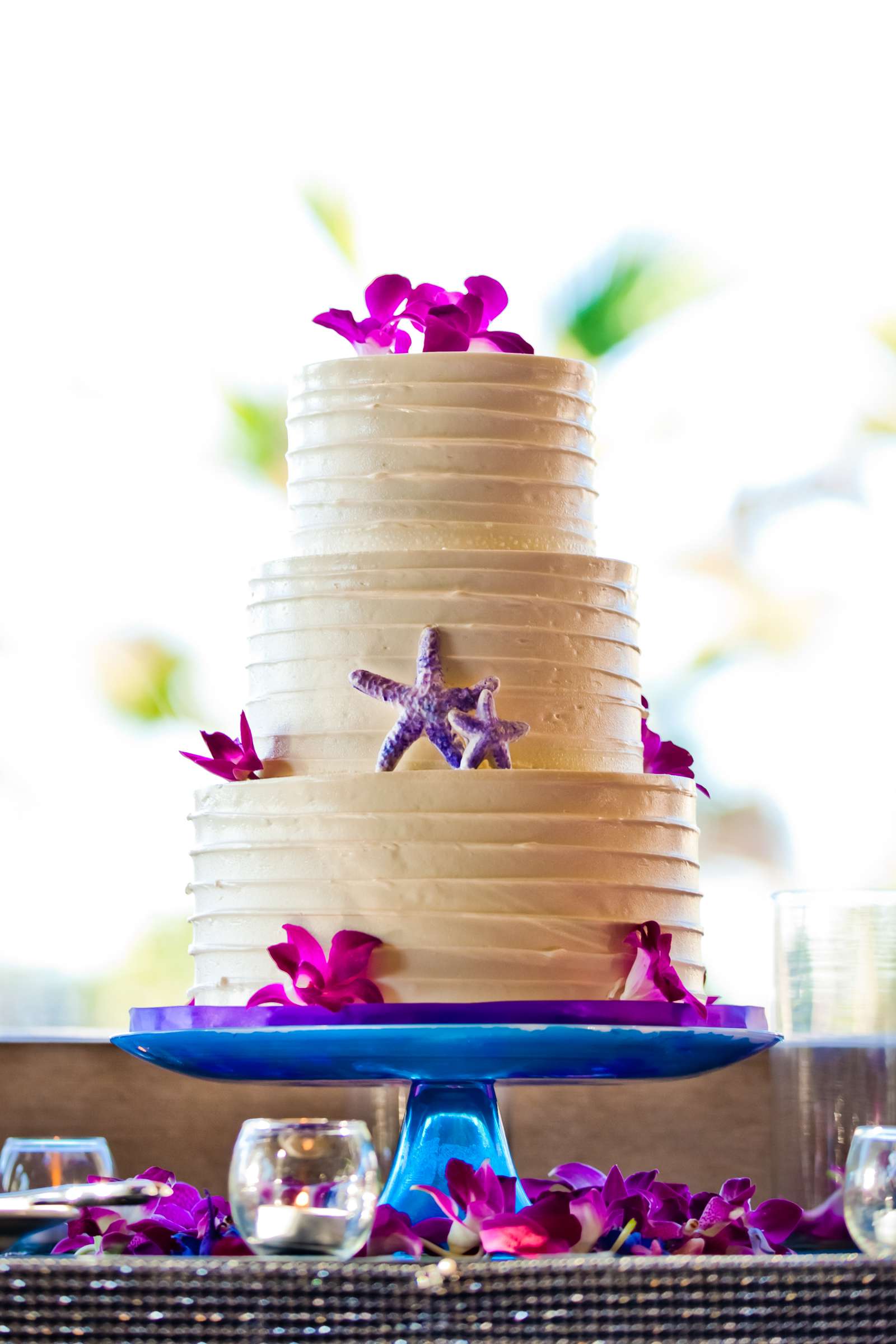 Cake at Bahia Hotel Wedding, Kyrstie and Travis Wedding Photo #128577 by True Photography