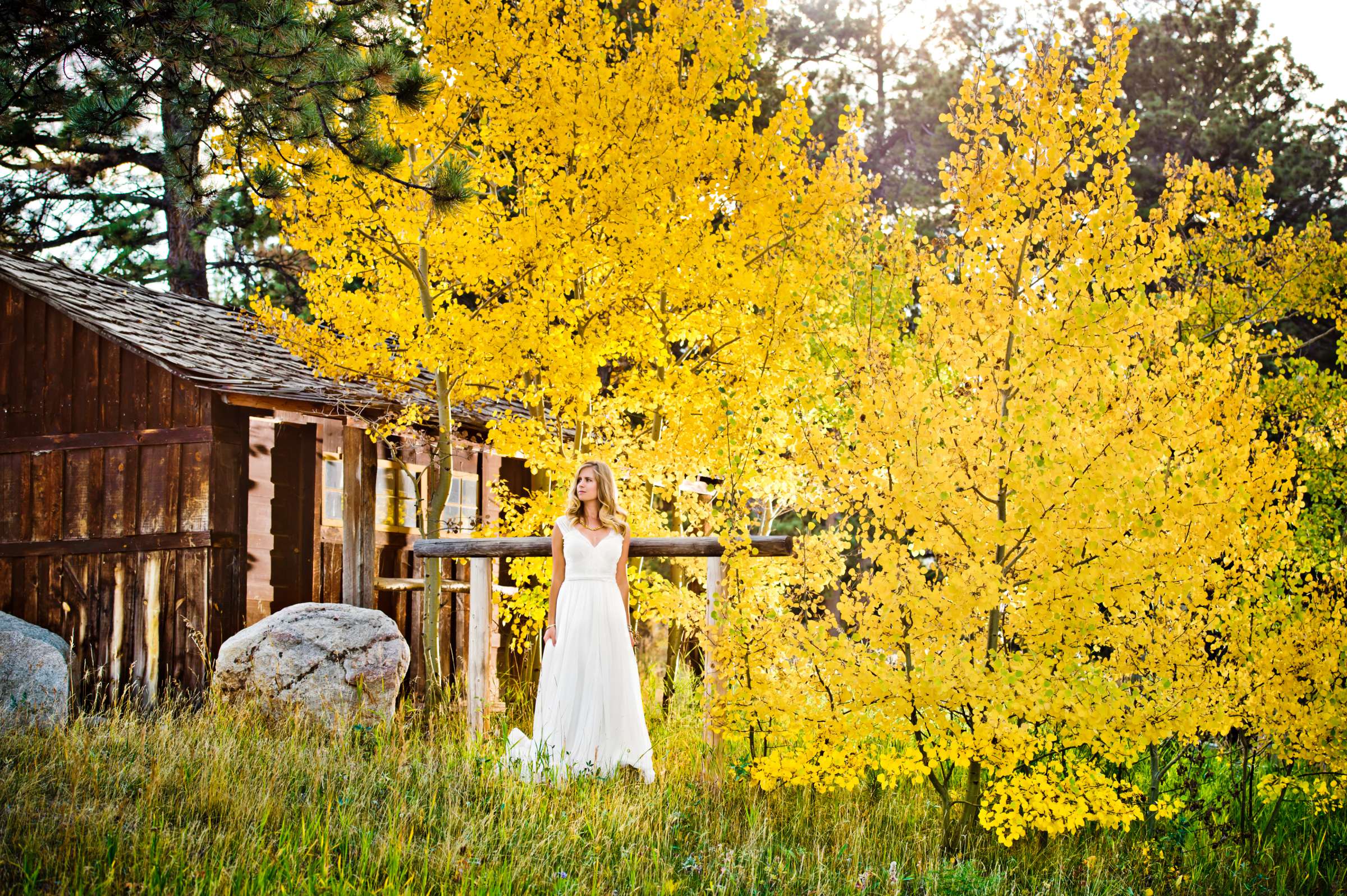 Wild Basin Lodge Wedding, Fall Leaves Wedding Photo #2 by True Photography