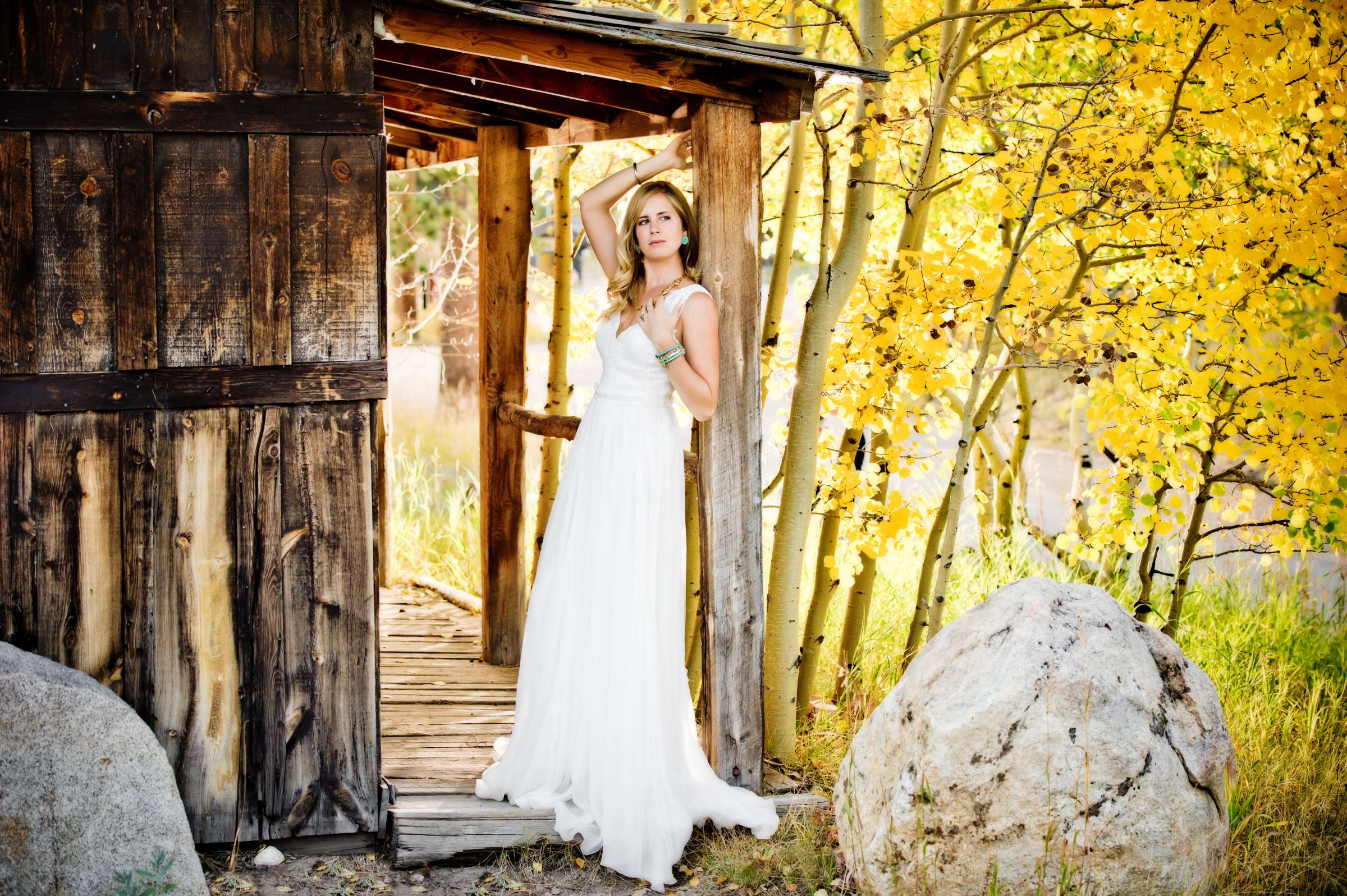 Bride, Stylized Portrait at Wild Basin Lodge Wedding, Fall Leaves Wedding Photo #1 by True Photography