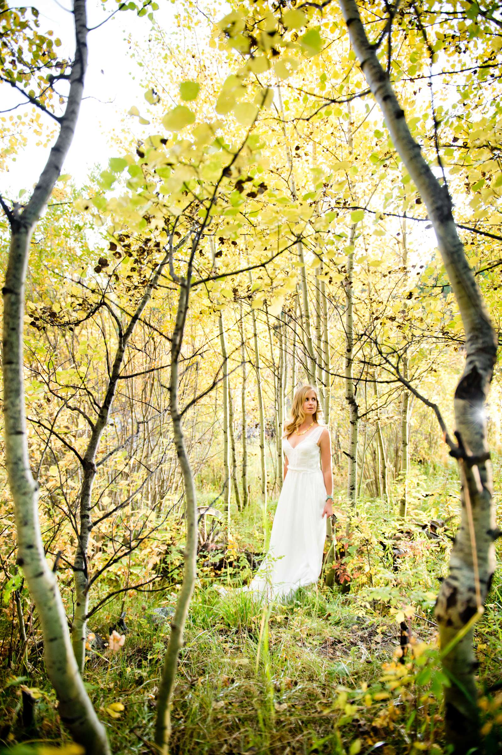 Wild Basin Lodge Wedding, Fall Leaves Wedding Photo #12 by True Photography