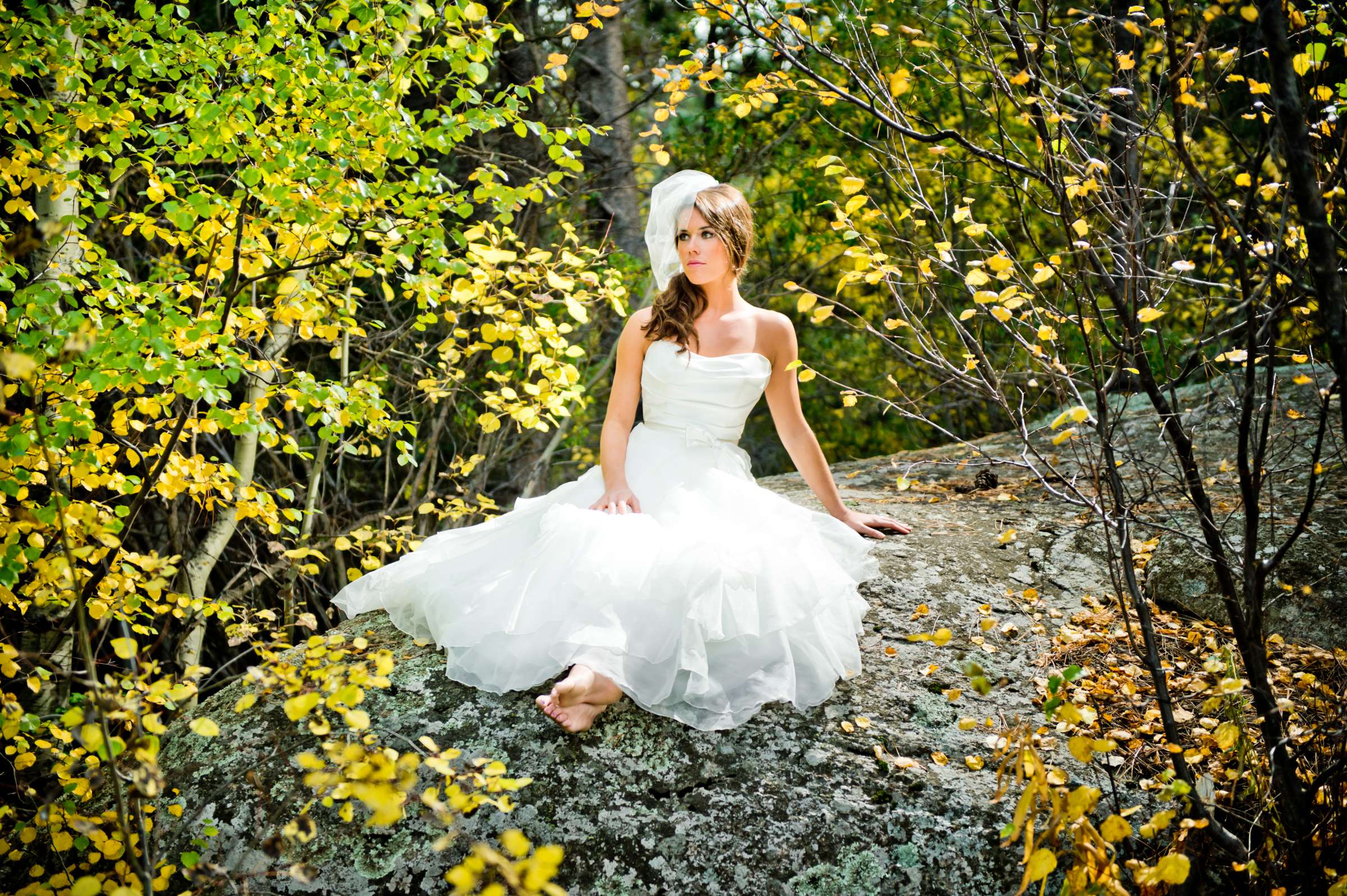 Wild Basin Lodge Wedding, Fall Leaves Wedding Photo #4 by True Photography