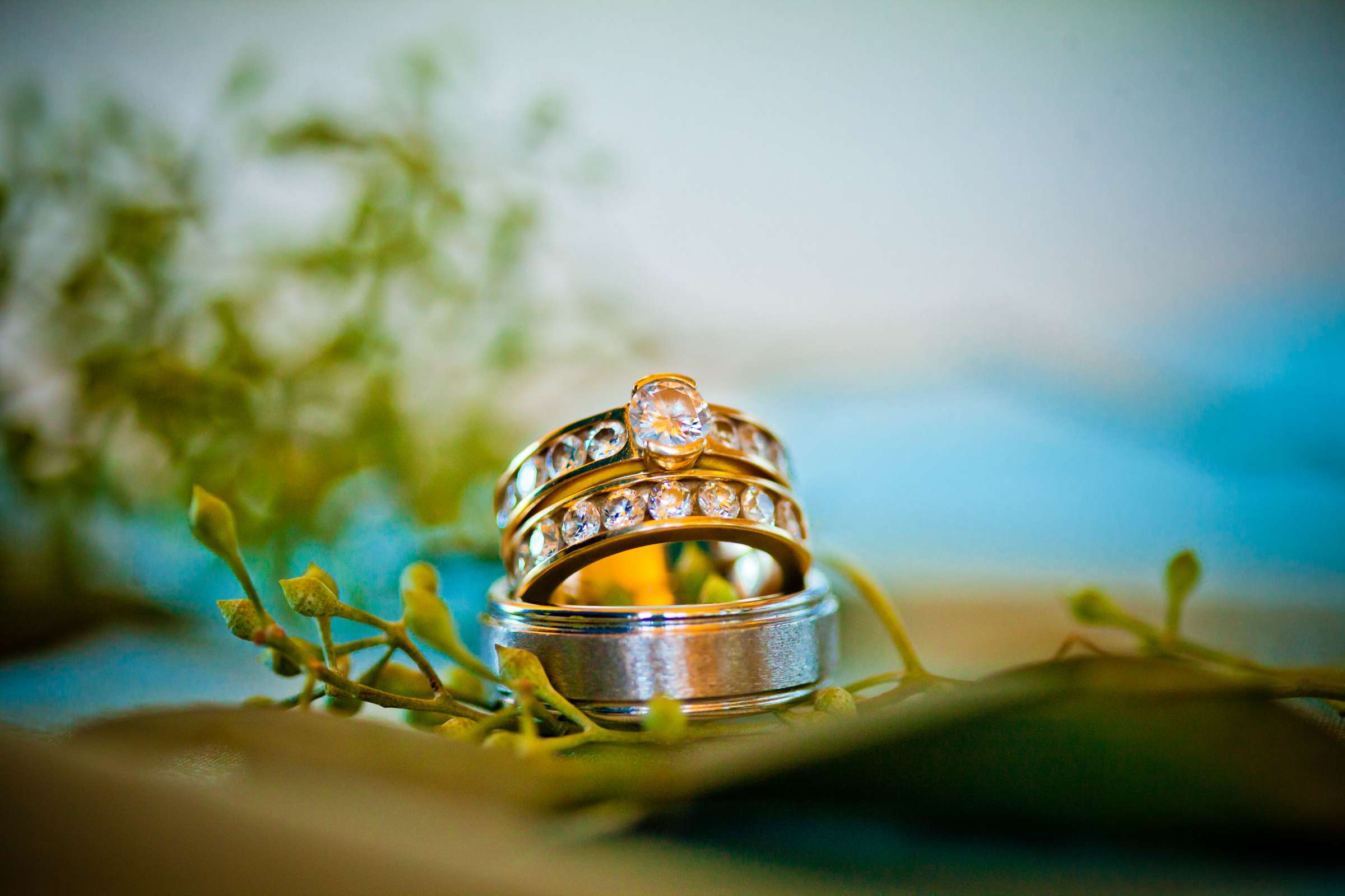 Rings at Paradise Point Wedding, Joy and Craig Wedding Photo #9 by True Photography