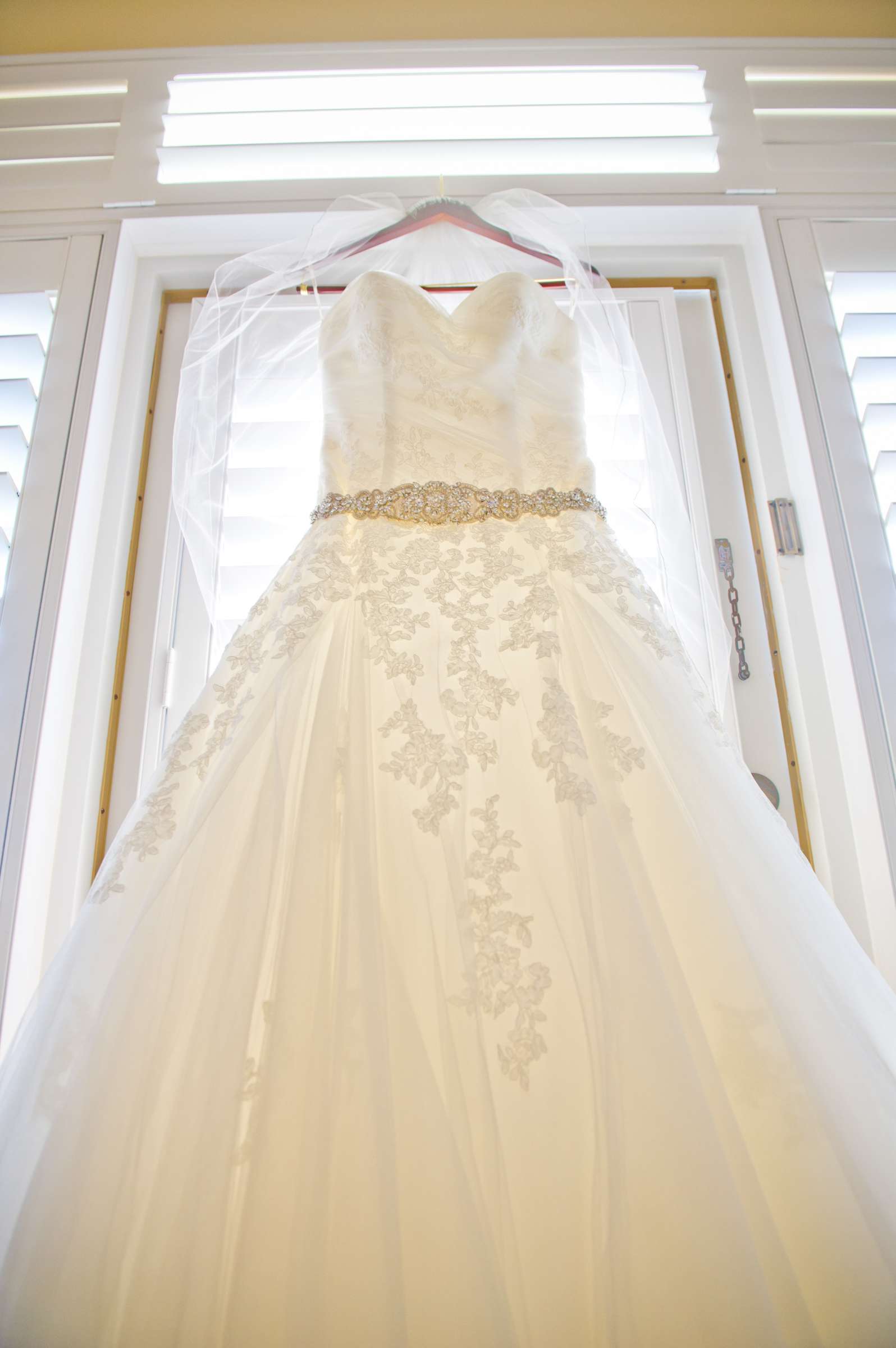 Wedding Dress at Private Residence Wedding coordinated by Tami Austin Wedding Planner, Vanessa and Patrick Wedding Photo #9 by True Photography
