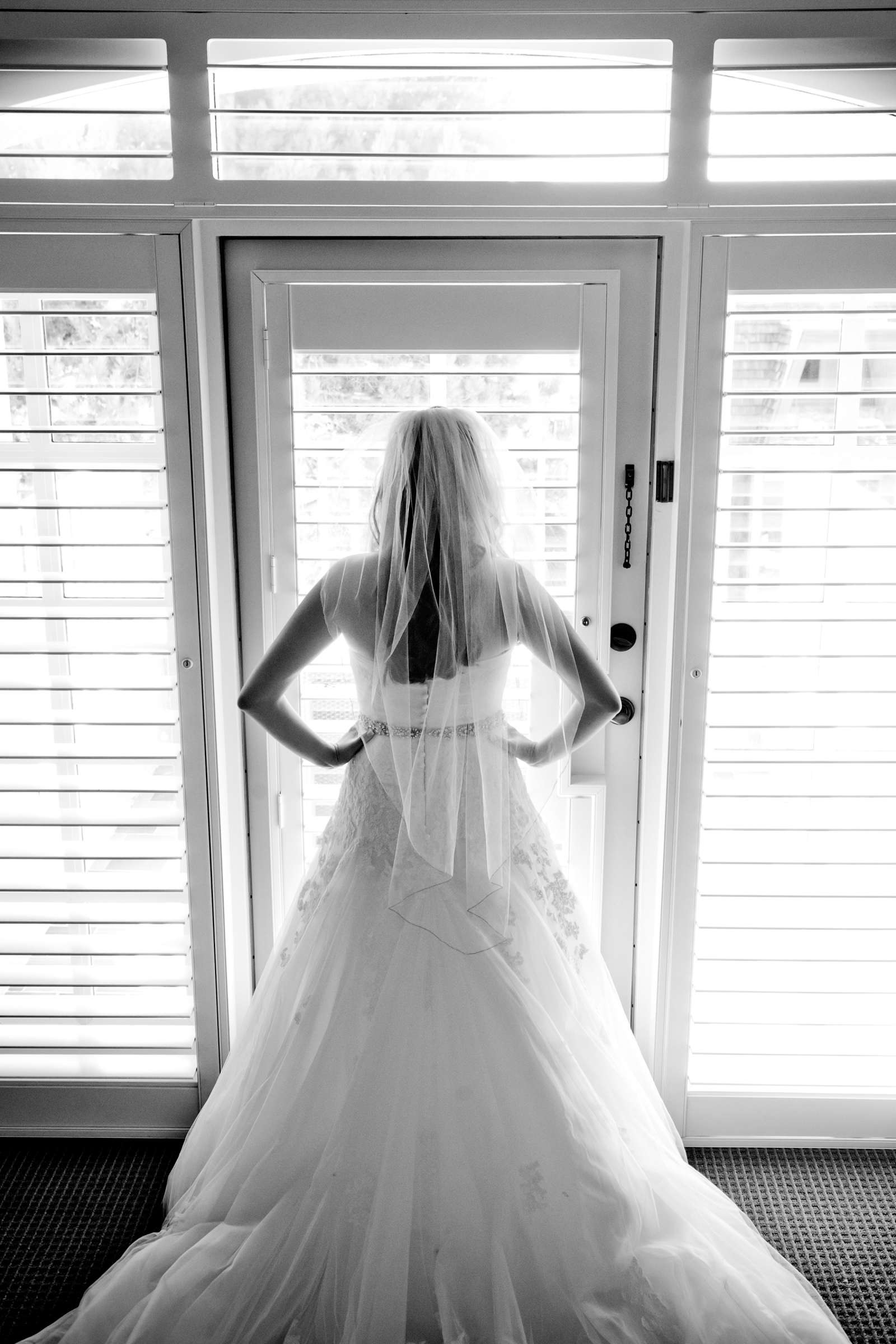 Wedding Dress at Private Residence Wedding coordinated by Tami Austin Wedding Planner, Vanessa and Patrick Wedding Photo #21 by True Photography