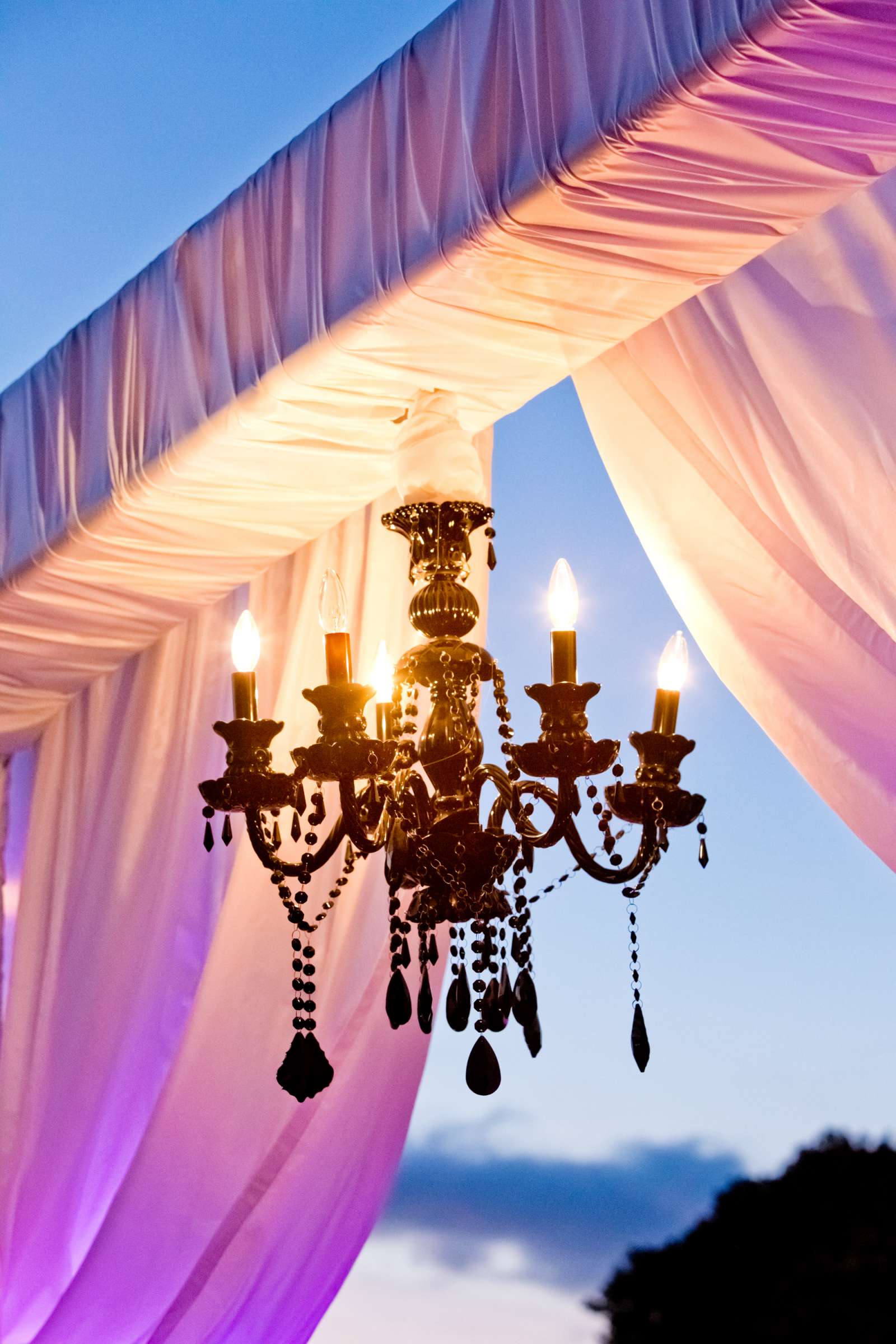 Coronado Island Marriott Resort & Spa Wedding, Champagne and Chandeliers Wedding Photo #11 by True Photography