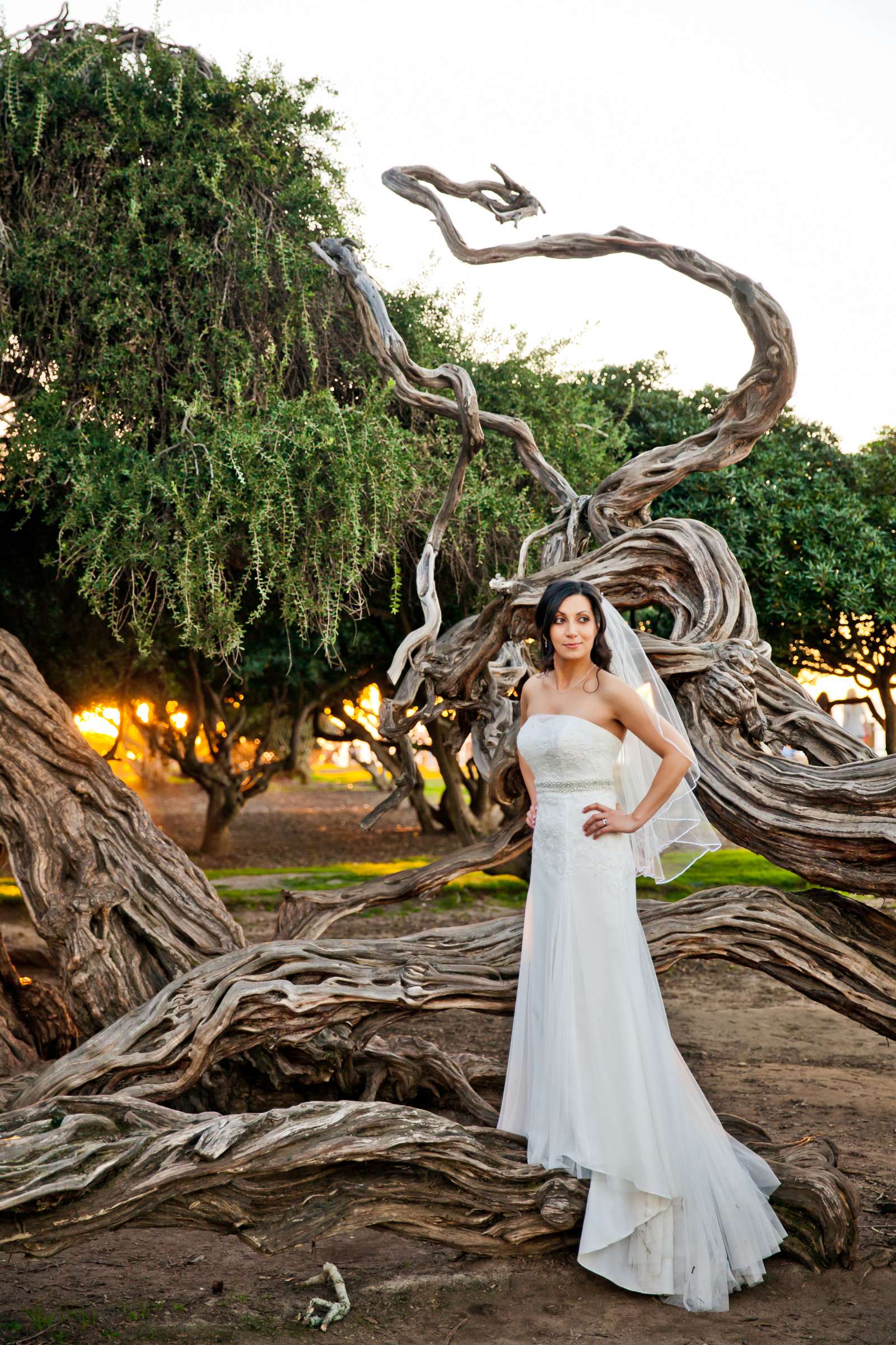 Bride at, Photo #142513 by True Photography