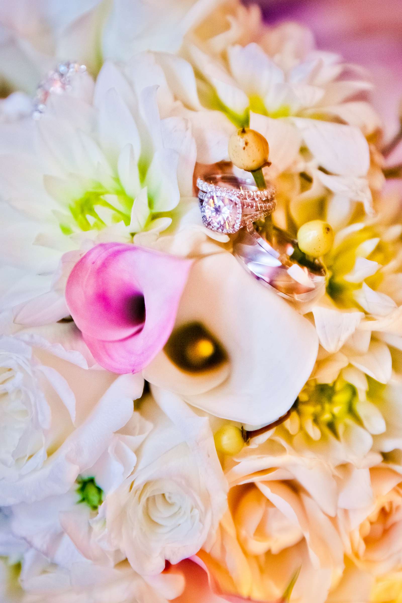 Rings at Estancia Wedding coordinated by Pink Papaya, Brittni and Nicholas Wedding Photo #142941 by True Photography