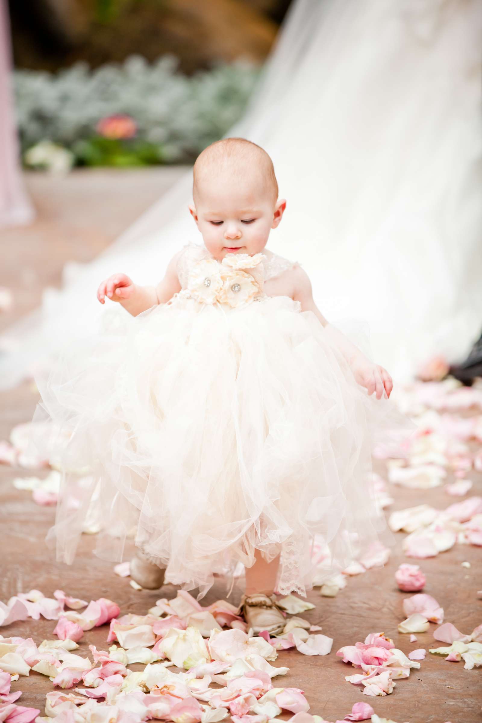 Grand Tradition Estate Wedding coordinated by Grand Tradition Estate, Sarah and Bradley Wedding Photo #31 by True Photography