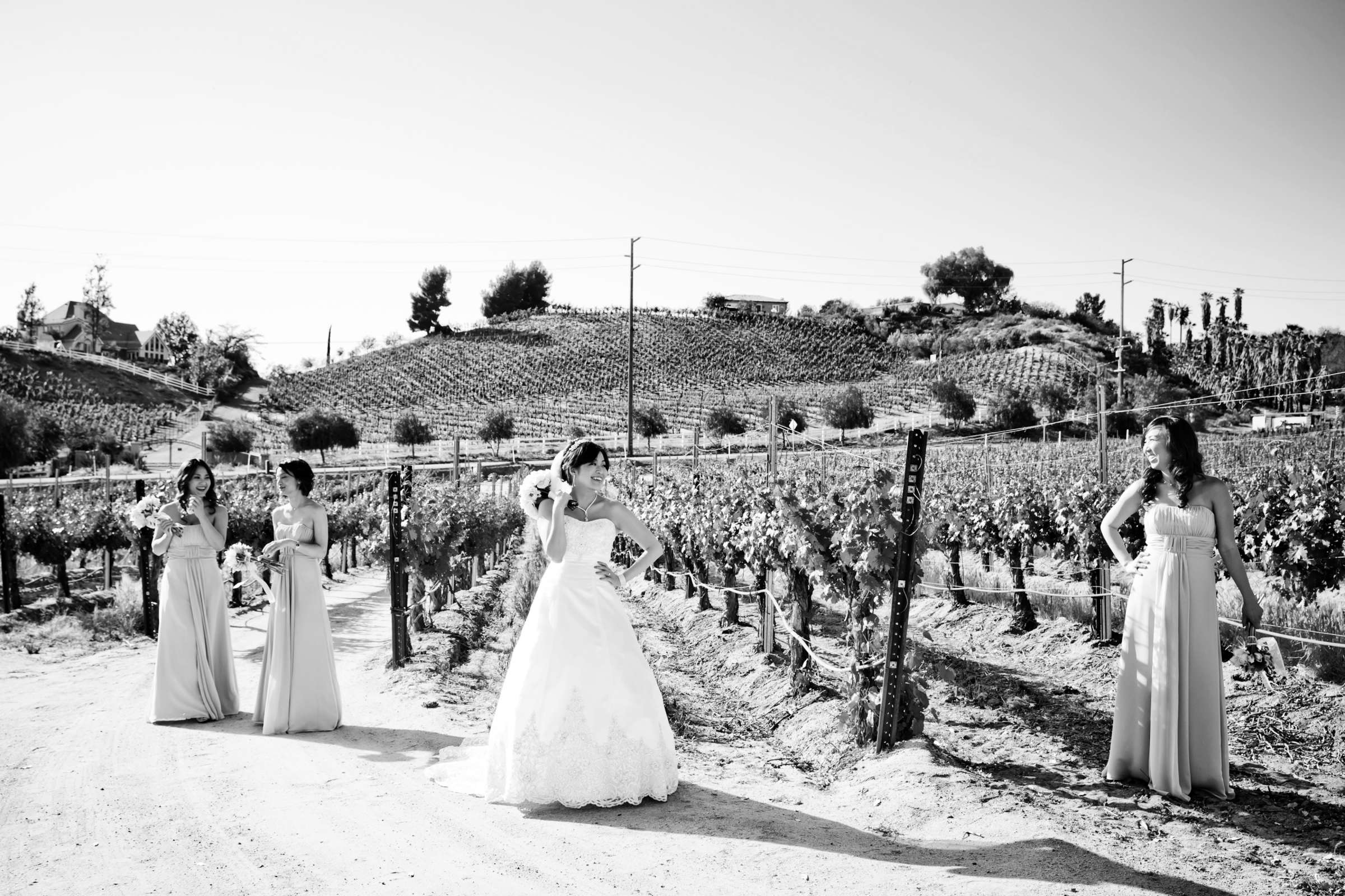 Leoness Cellars Wedding coordinated by Storybook Weddings & Events, Joanne and Rainnier Wedding Photo #148596 by True Photography