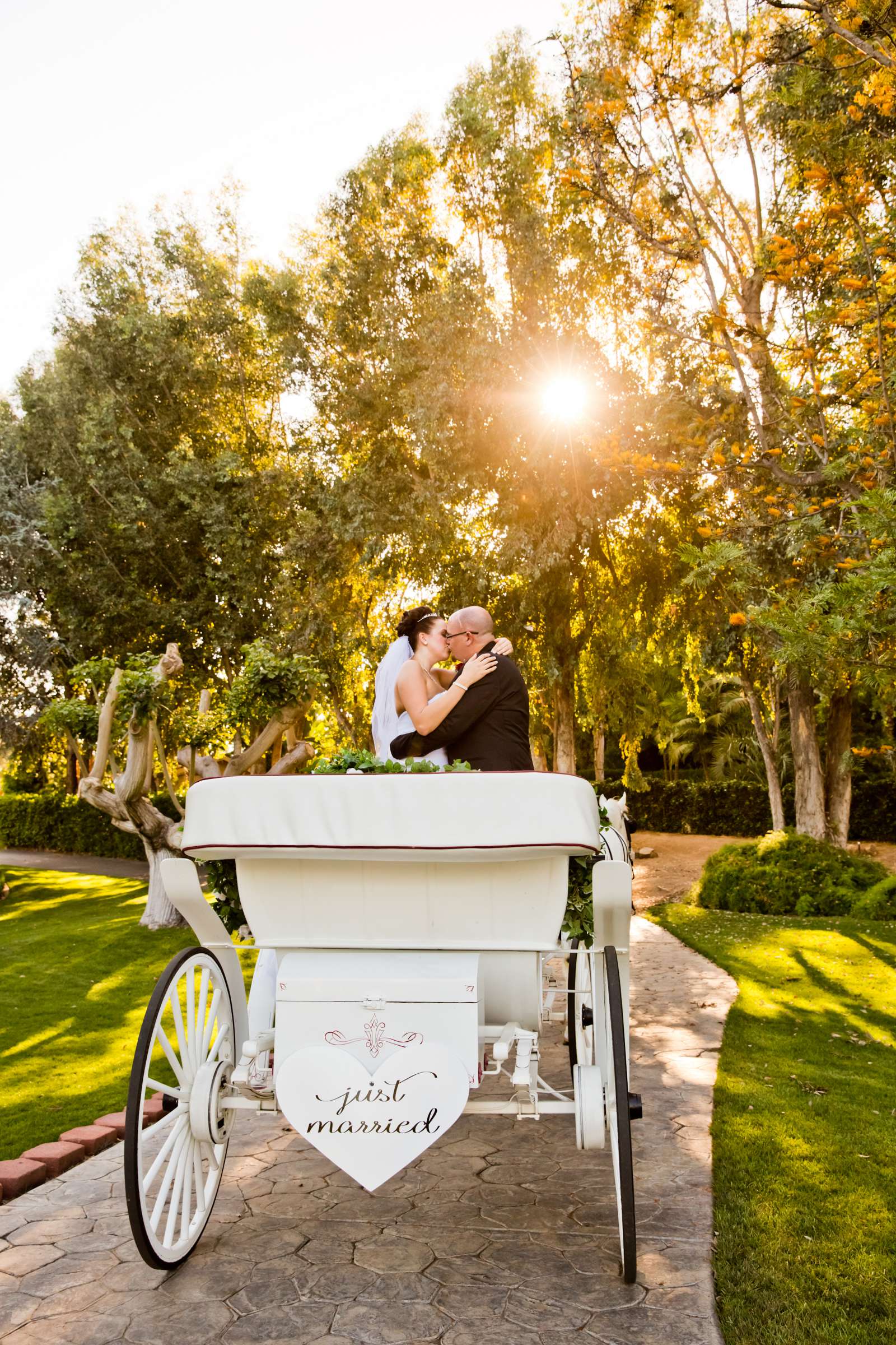 Grand Tradition Estate Wedding coordinated by Grand Tradition Estate, Sabrina and Chris Wedding Photo #149072 by True Photography