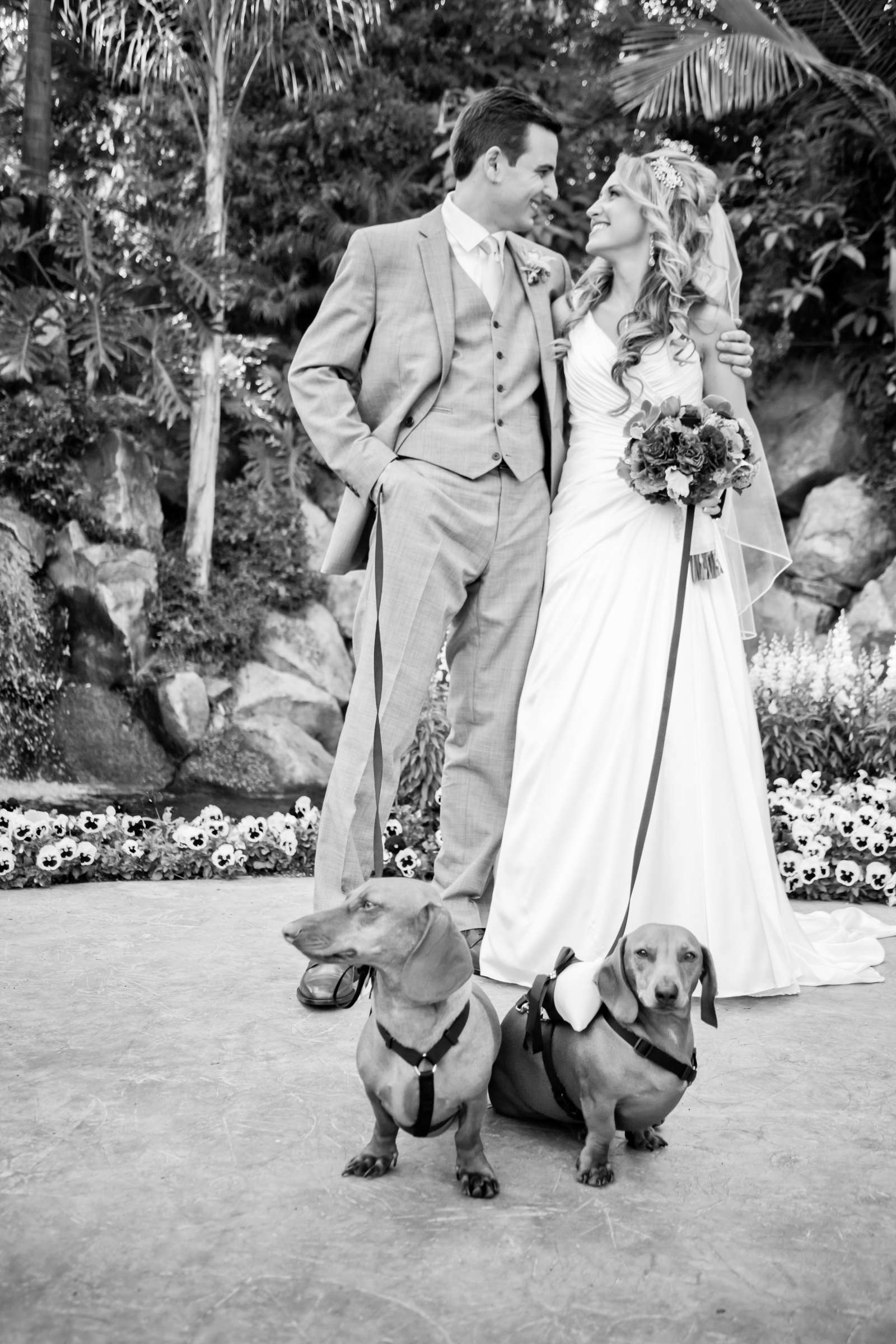 Grand Tradition Estate Wedding, Arbor Terrace Wedding Photo #149910 by True Photography