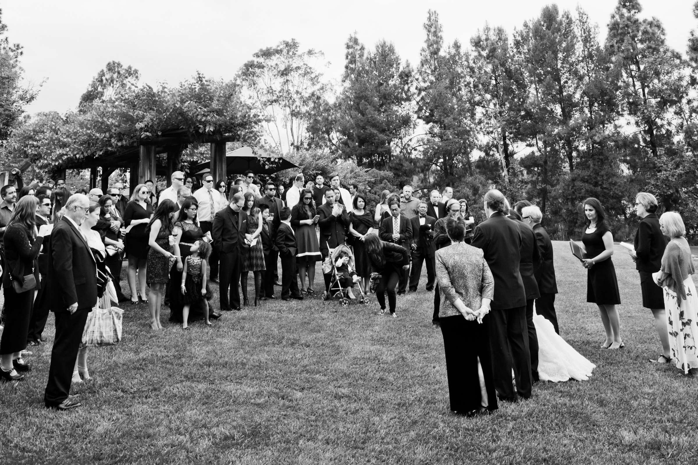 Orfila Vineyards Wedding, Jazmine and Charlie Wedding Photo #54 by True Photography