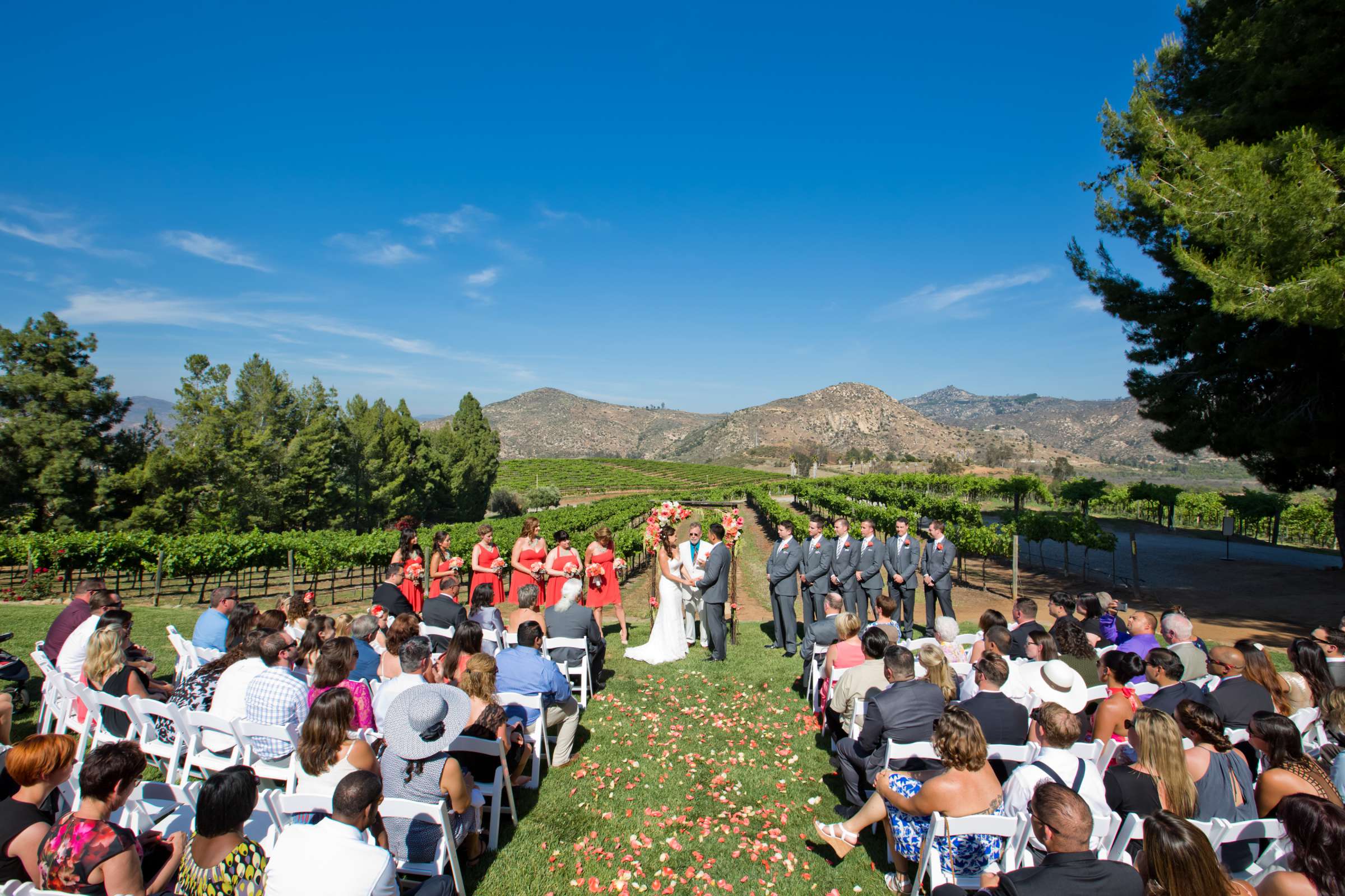 Orfila Vineyards Wedding coordinated by Art of the Party, Natalie and Josh Wedding Photo #9 by True Photography