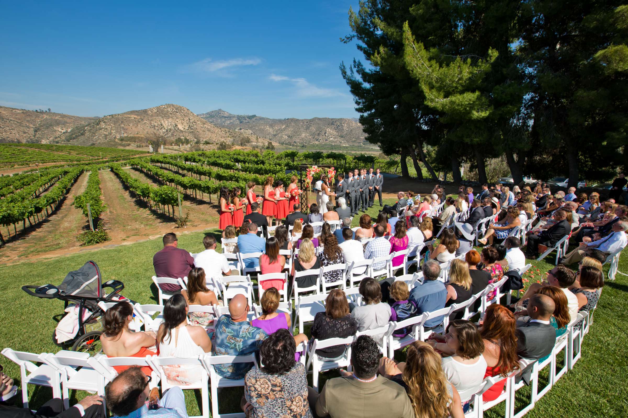 Orfila Vineyards Wedding coordinated by Art of the Party, Natalie and Josh Wedding Photo #53 by True Photography