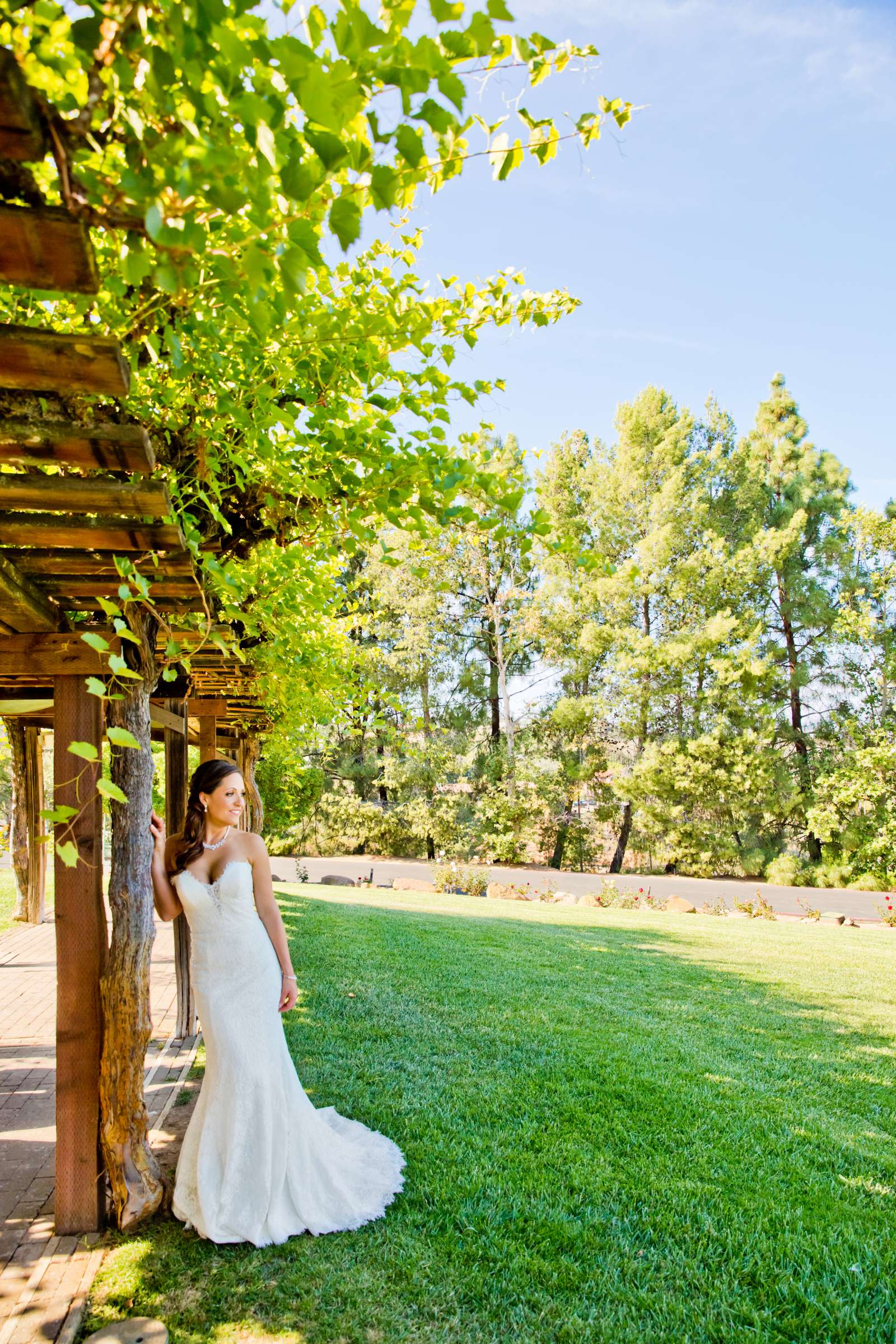 Orfila Vineyards Wedding coordinated by Art of the Party, Natalie and Josh Wedding Photo #58 by True Photography