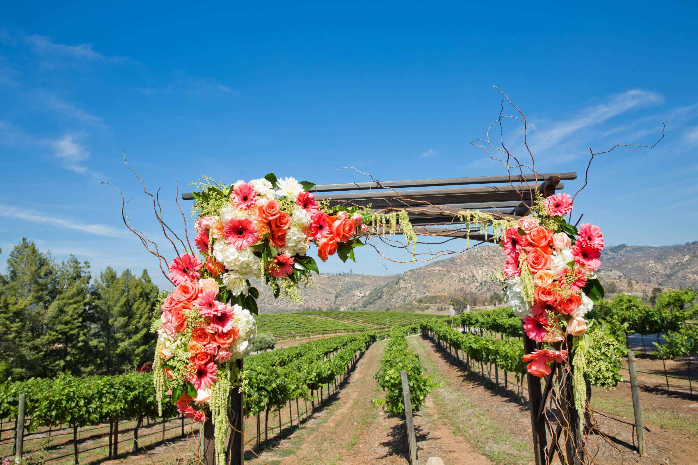 Orfila Vineyards Wedding coordinated by Art of the Party, Natalie and Josh Wedding Photo #118 by True Photography