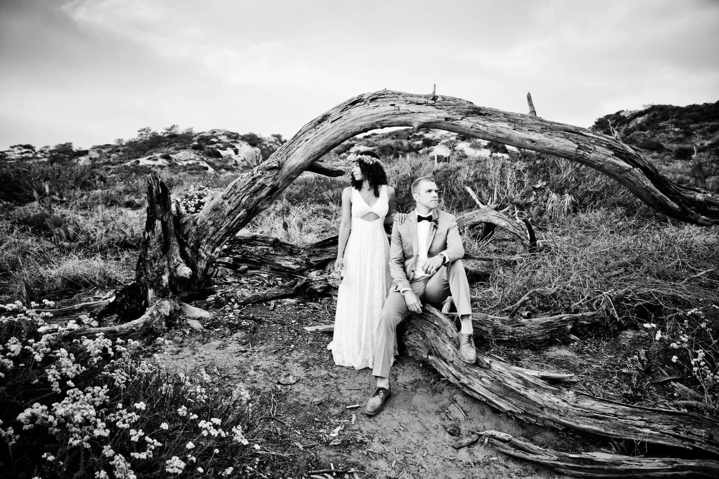 Torrey Pines State Natural Reserve Wedding, Cherise and Alec Wedding Photo #153890 by True Photography