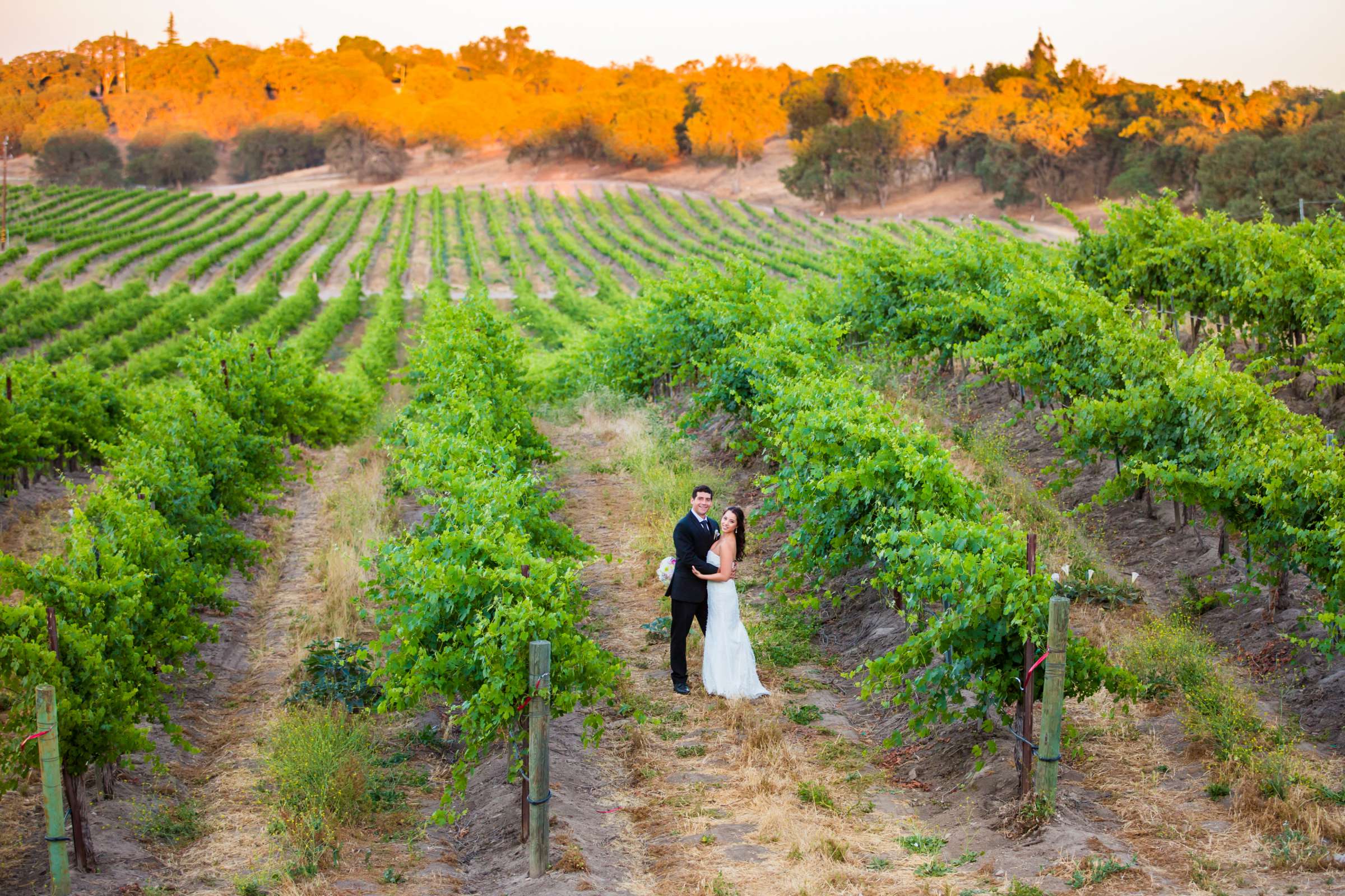 CaliPaso Winery Wedding coordinated by CaliPaso Winery, Michele and Levi Wedding Photo #6 by True Photography