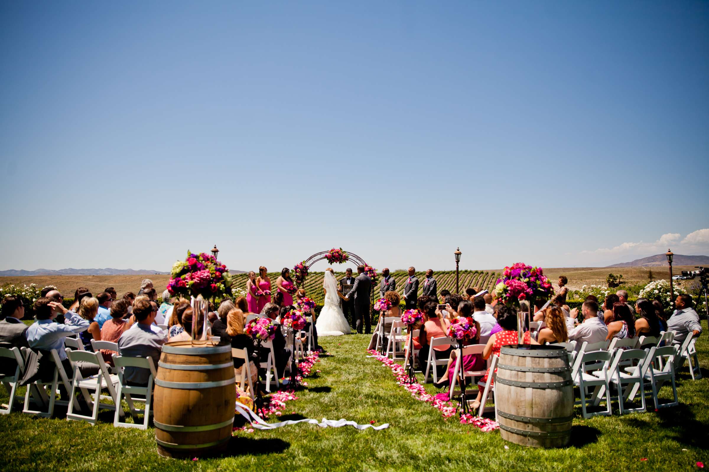 Callaway Vineyards & Winery Wedding, Tara and Sam Wedding Photo #156518 by True Photography