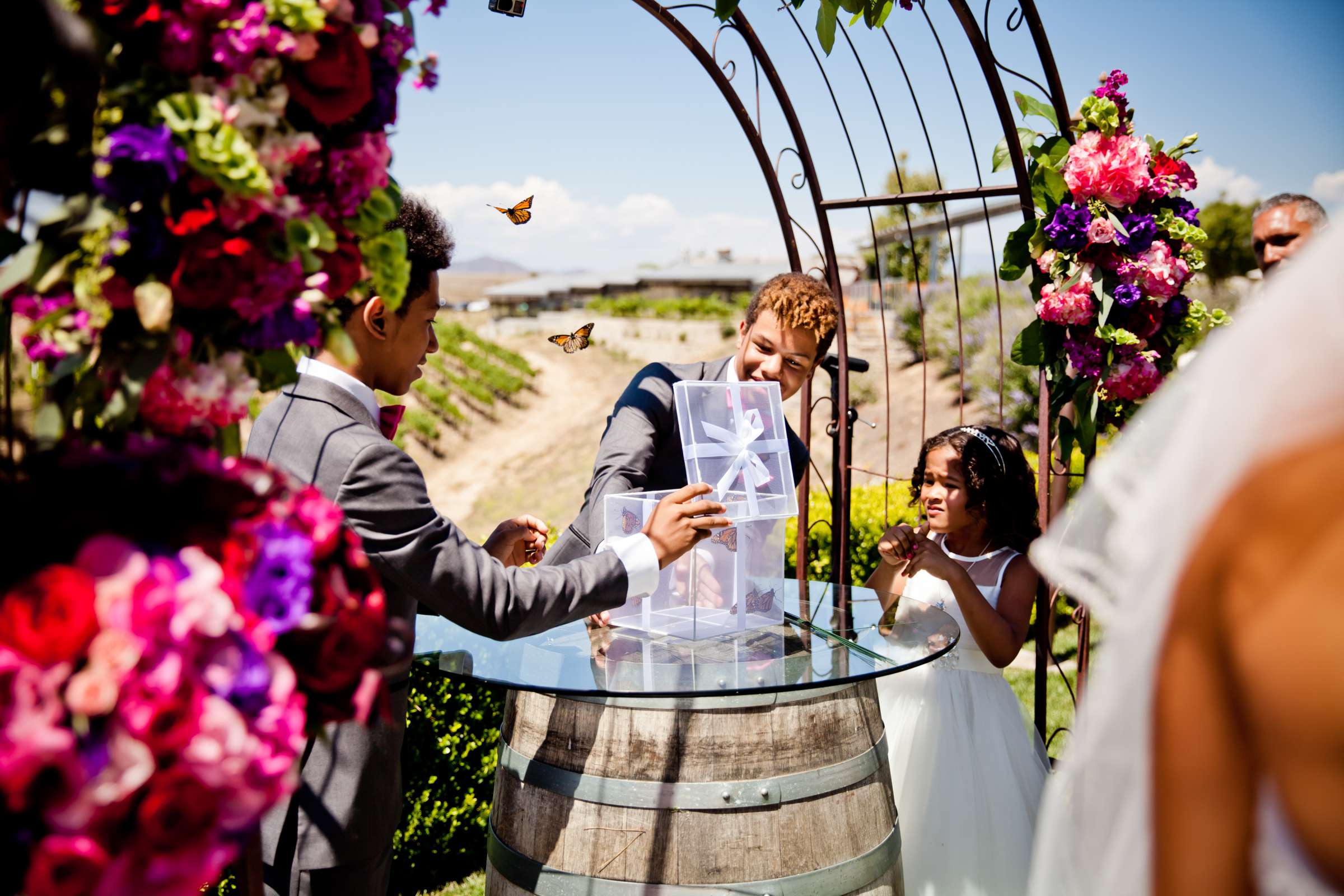 Callaway Vineyards & Winery Wedding, Tara and Sam Wedding Photo #156523 by True Photography
