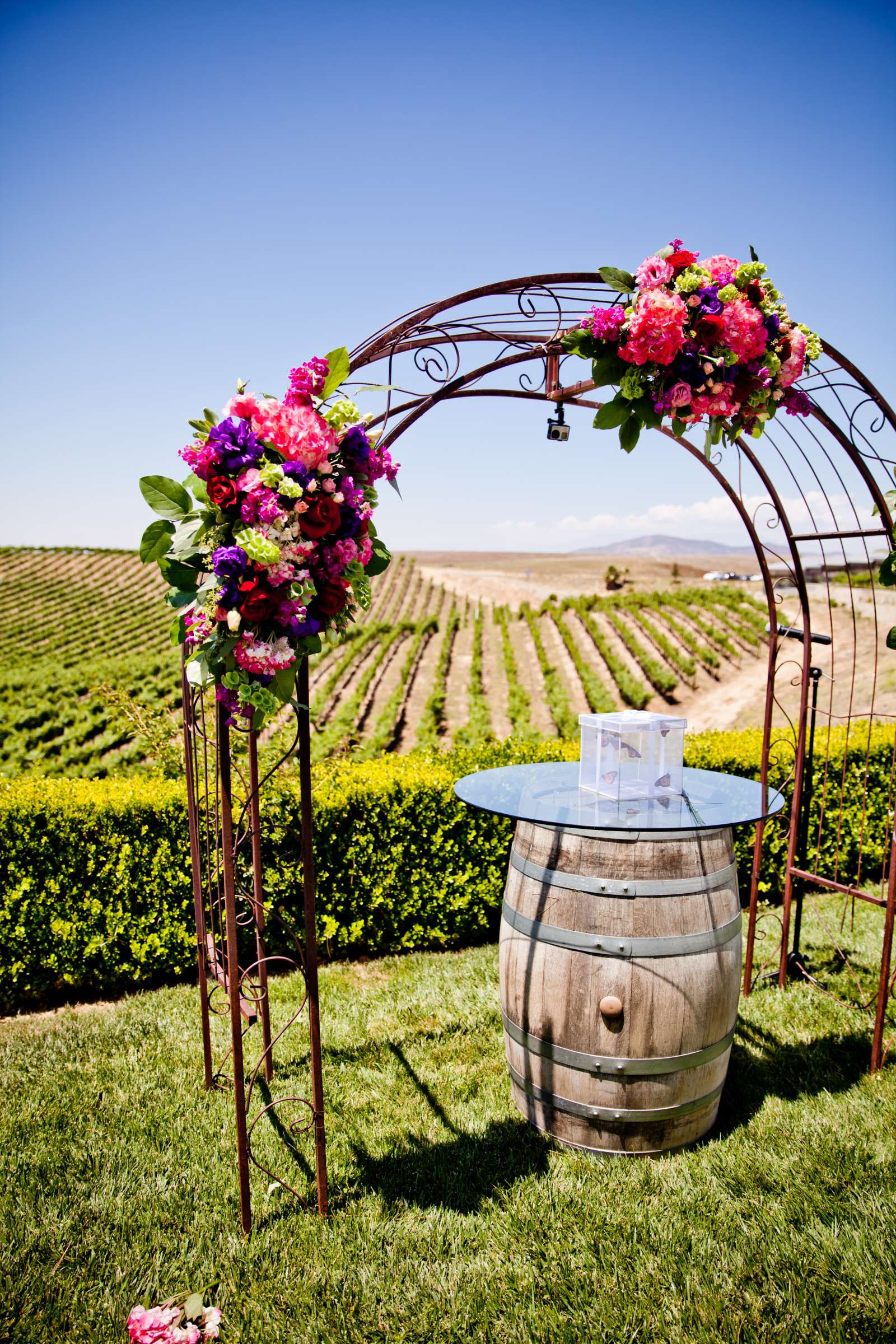 Callaway Vineyards & Winery Wedding, Tara and Sam Wedding Photo #156552 by True Photography