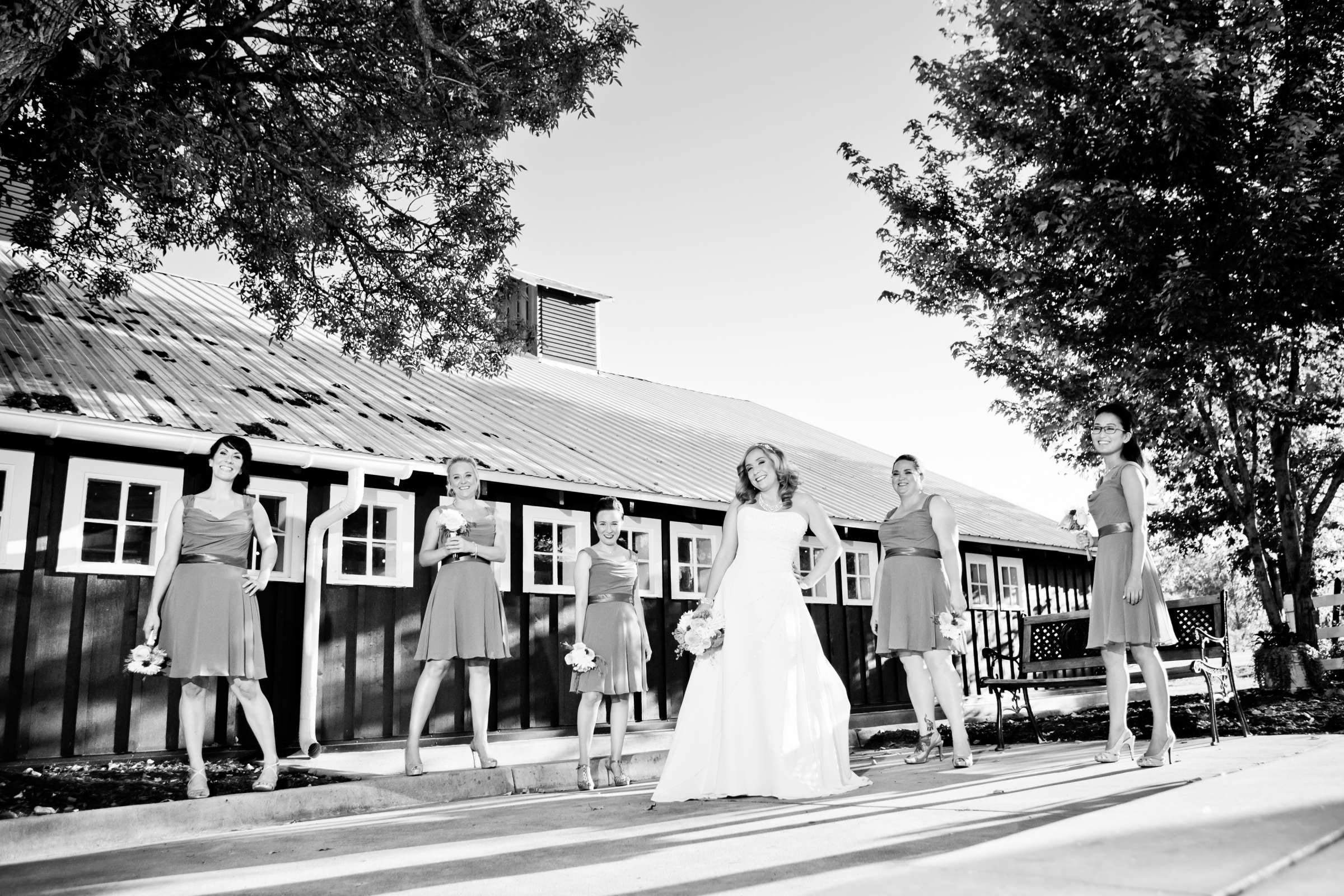 The Barn at Raccoon Creek Wedding, Andrea and Matthew Wedding Photo #163327 by True Photography
