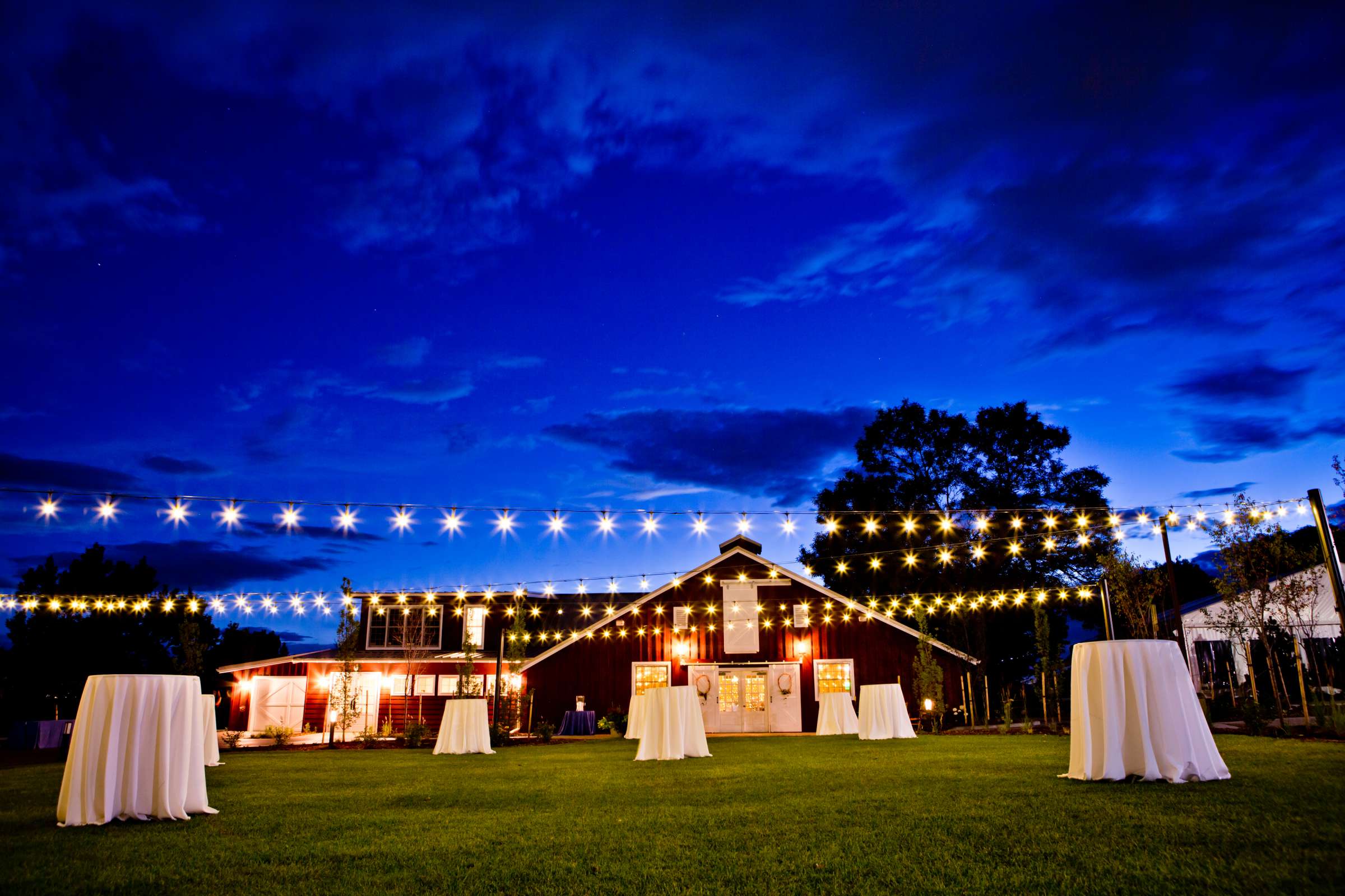 The Barn at Raccoon Creek Wedding, Andrea and Matthew Wedding Photo #163373 by True Photography
