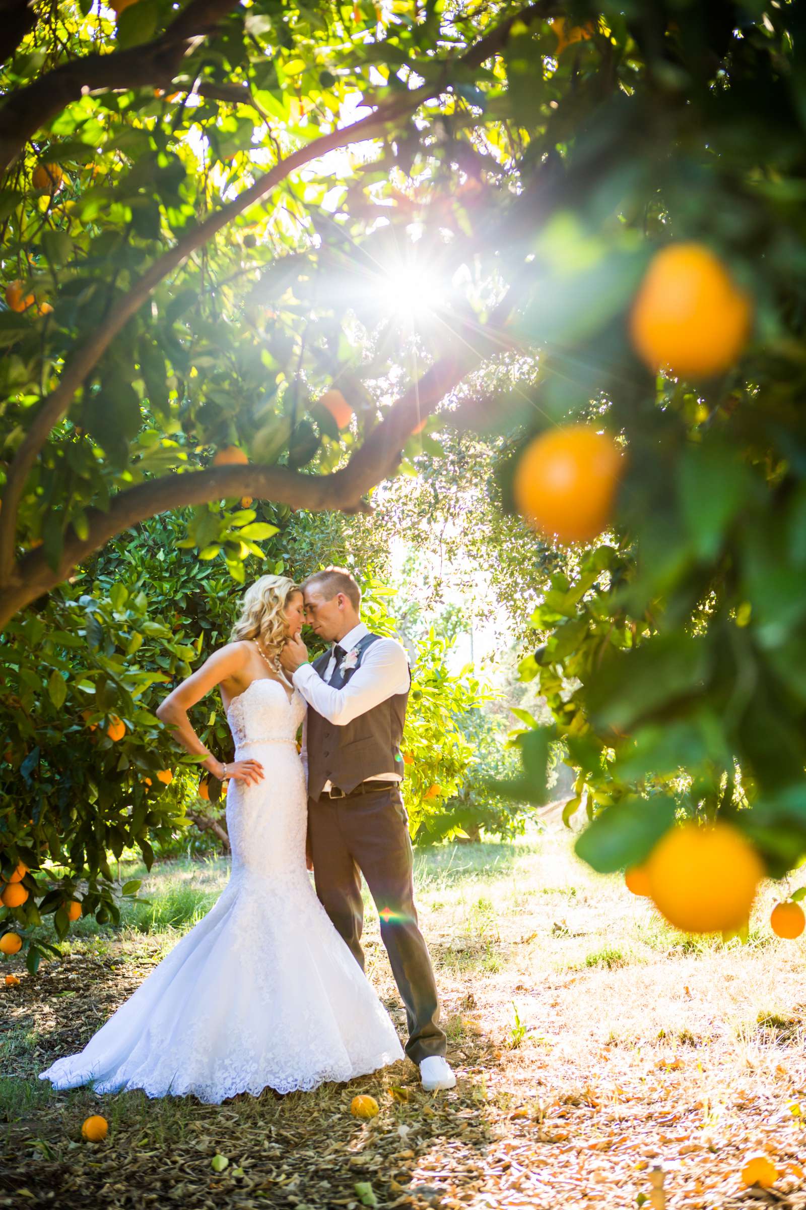 Circle Oak Ranch Weddings Wedding, Dayna and Nathaniel Wedding Photo #1 by True Photography