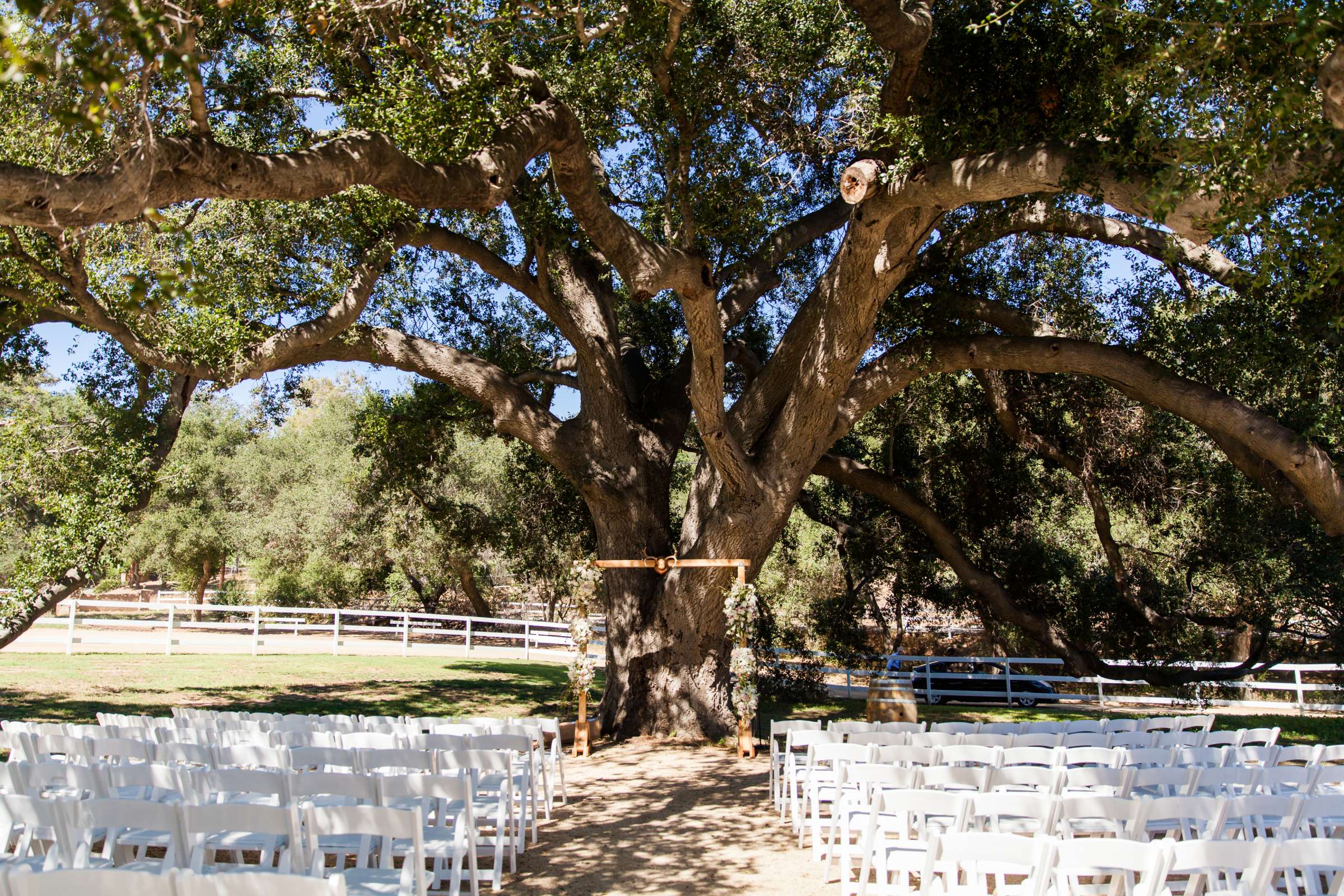 Circle Oak Ranch Weddings Wedding, Dayna and Nathaniel Wedding Photo #82 by True Photography