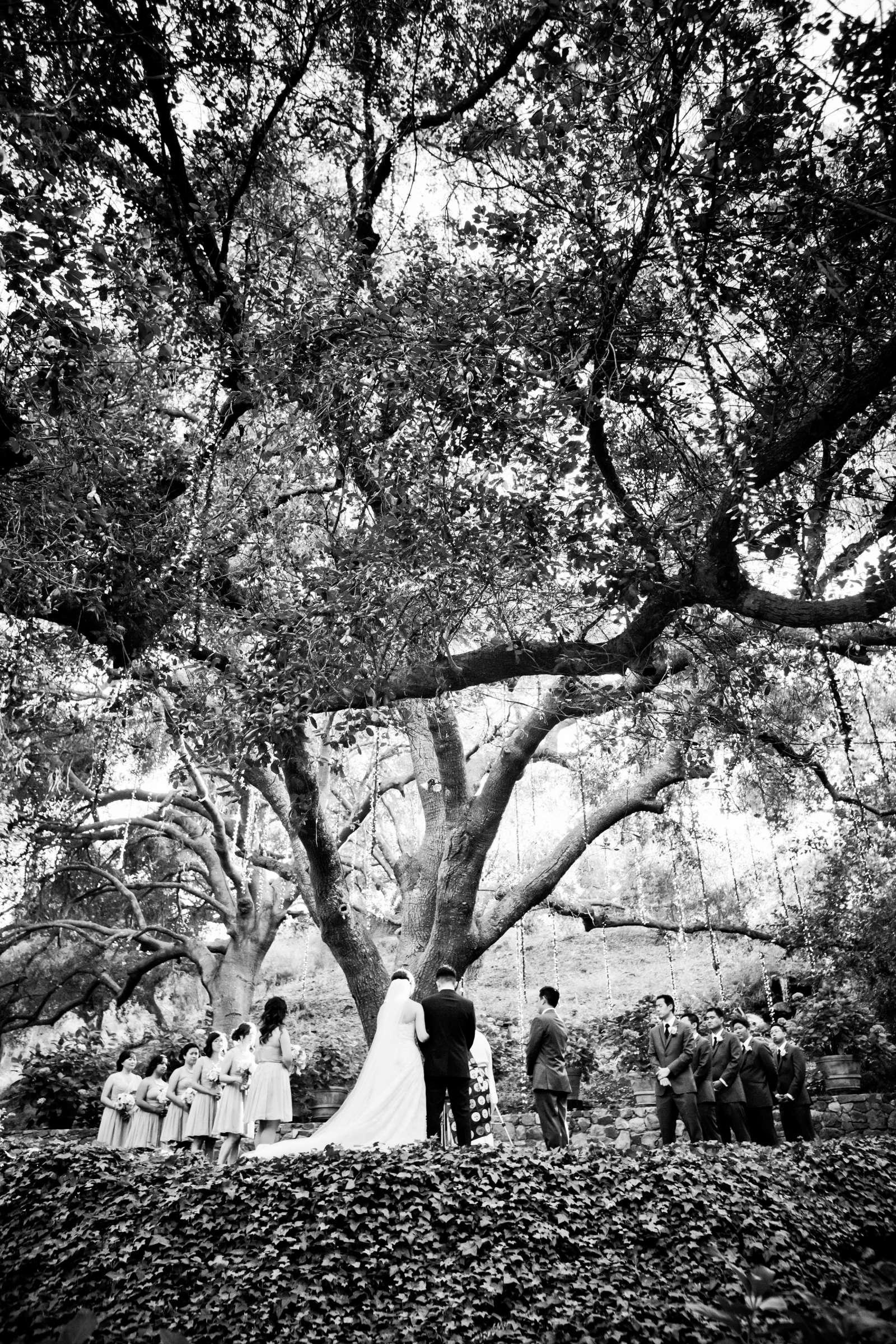 Calamigos Ranch Wedding coordinated by A Touch of Lavender, Tiffany and Gary Wedding Photo #165784 by True Photography