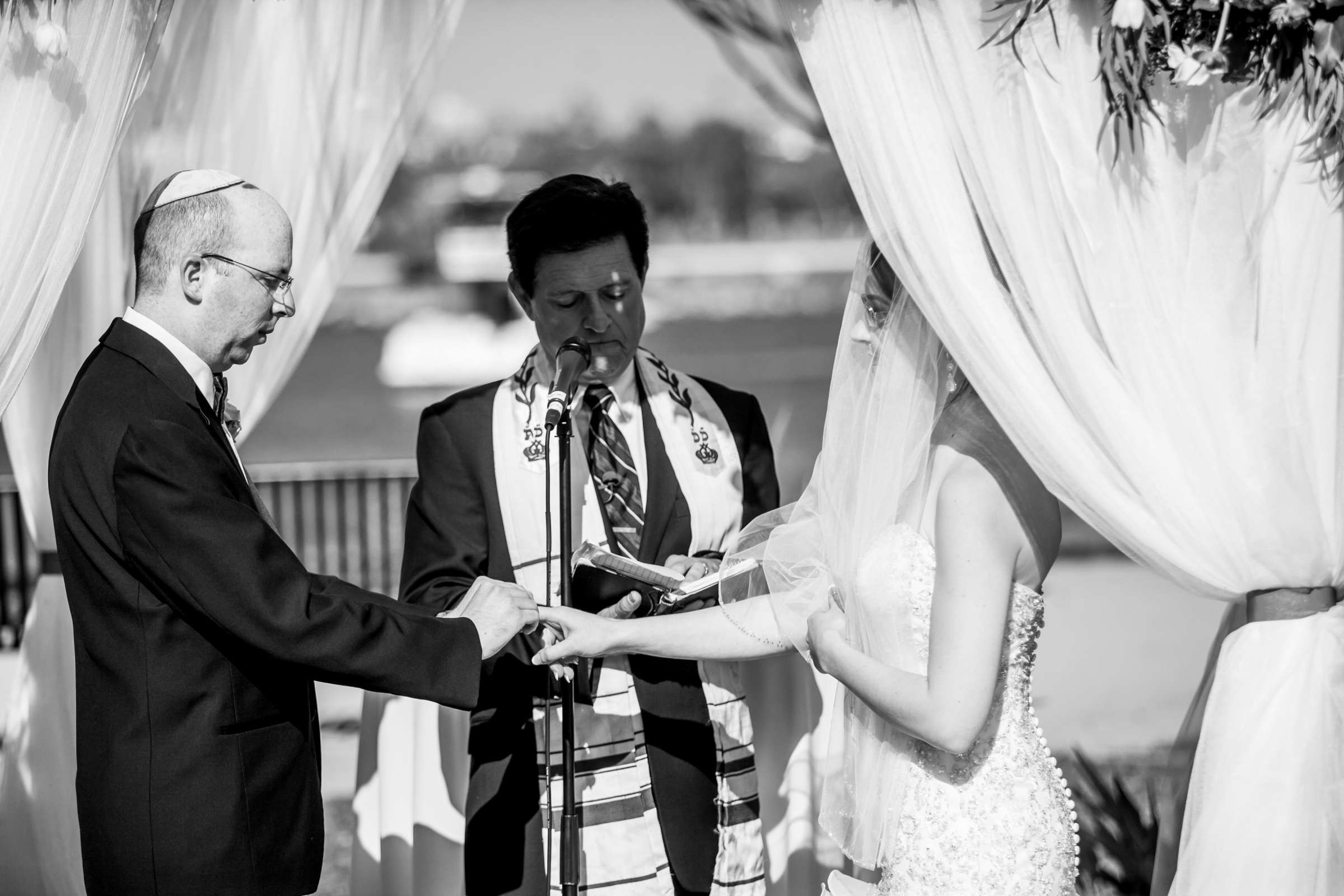 Courtyard by Marriott San Diego Airport/Liberty Station Wedding coordinated by Courtyard by Marriott San Diego Airport/Liberty Station, Sara and Neil Wedding Photo #64 by True Photography