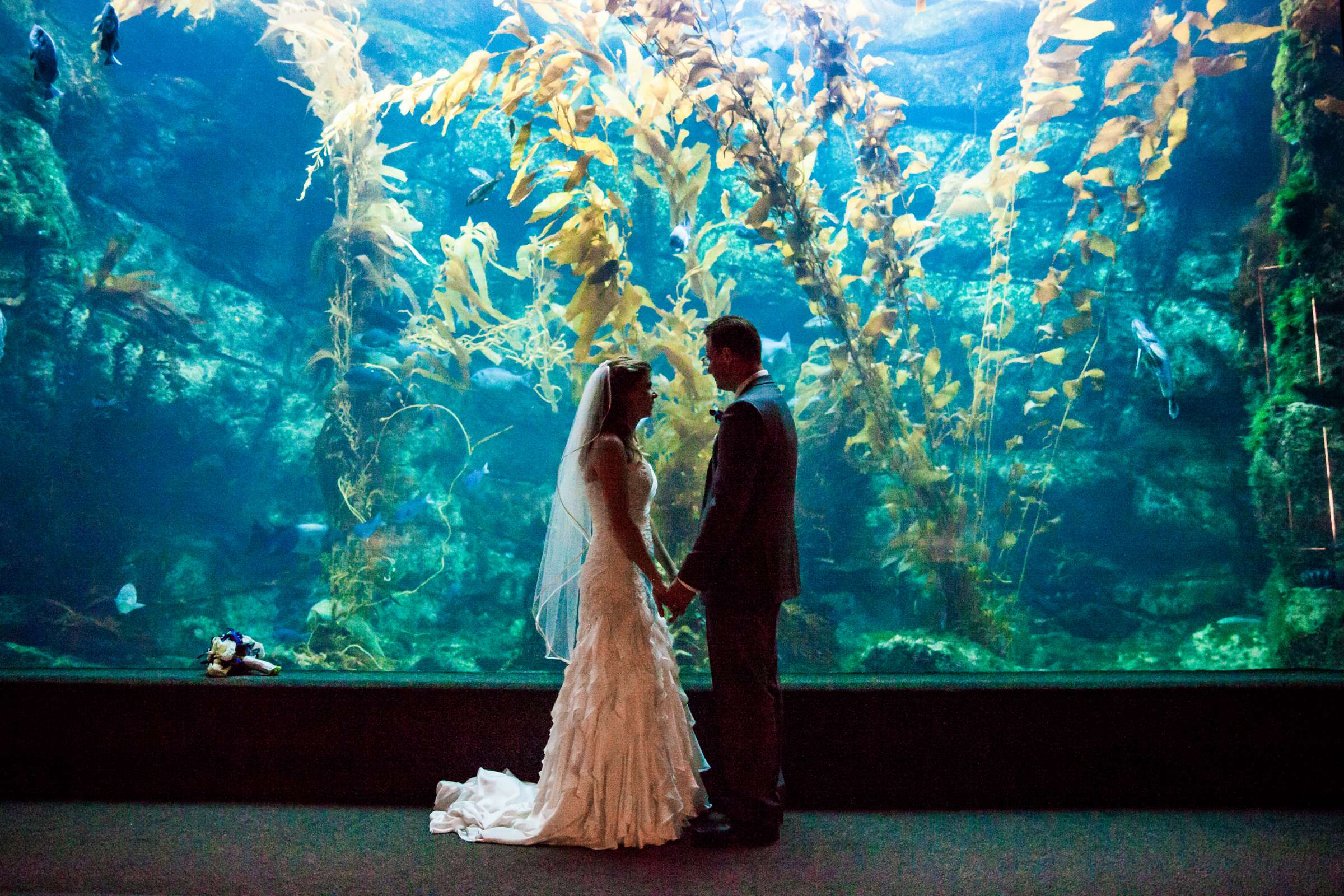 Birch Aquarium at Scripps Wedding, Cami and Zane Wedding Photo #5 by True Photography