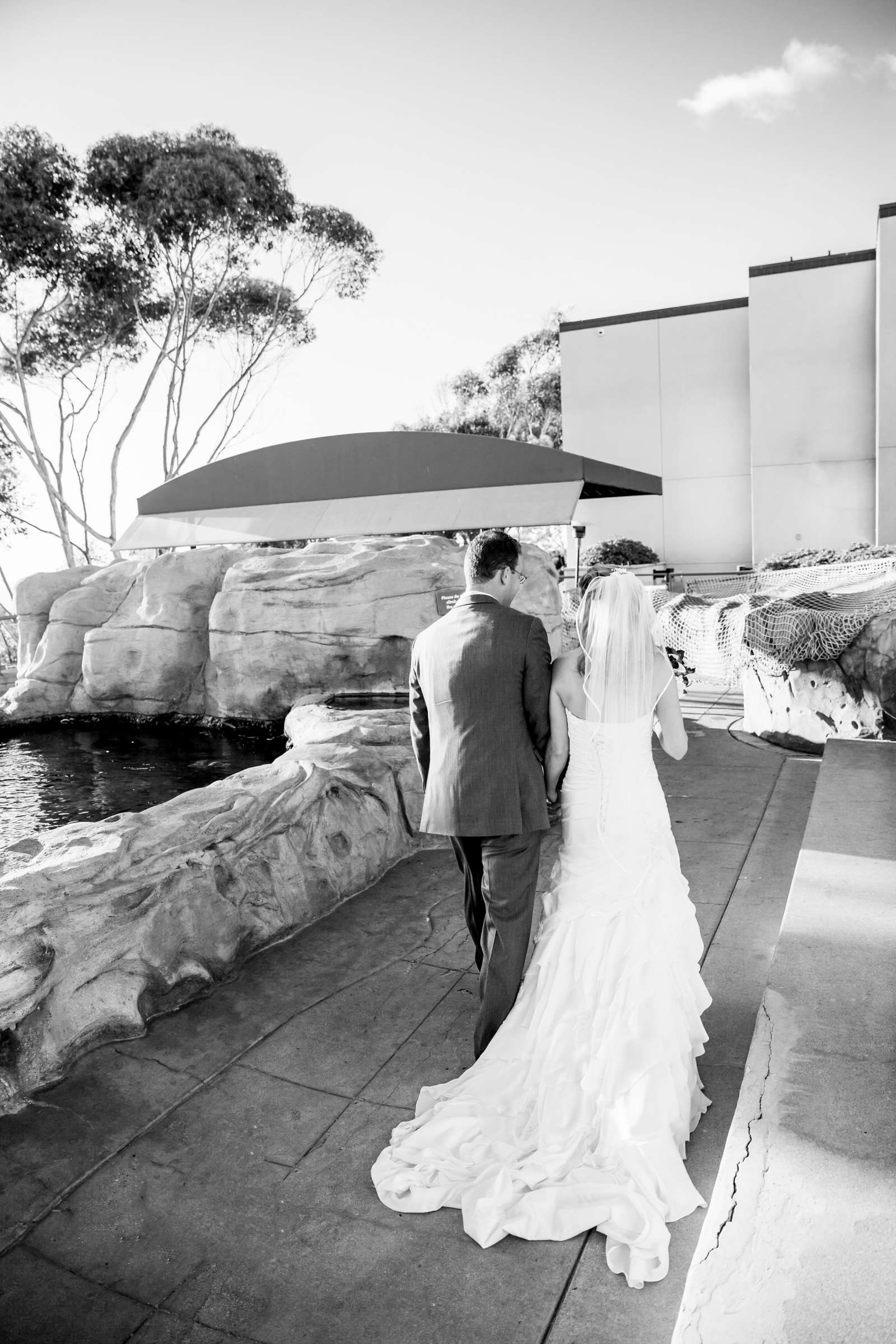 Birch Aquarium at Scripps Wedding, Cami and Zane Wedding Photo #38 by True Photography