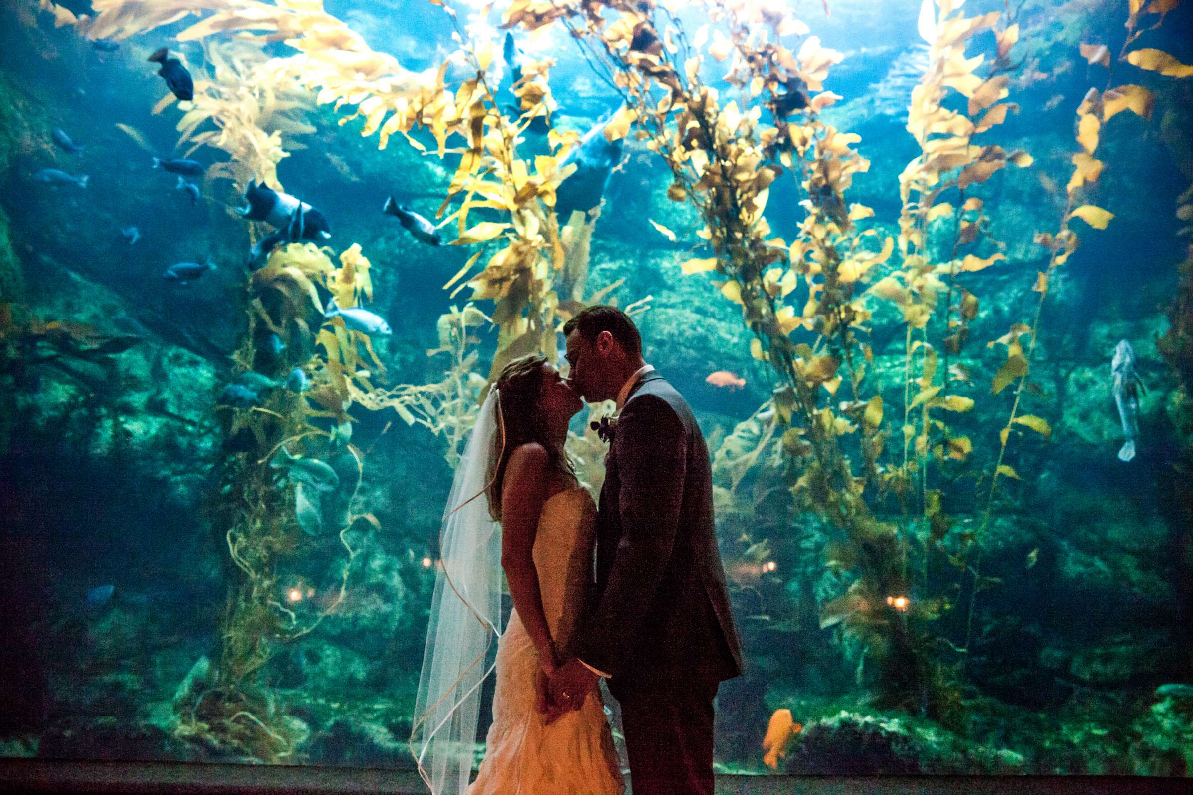 Birch Aquarium at Scripps Wedding, Cami and Zane Wedding Photo #51 by True Photography