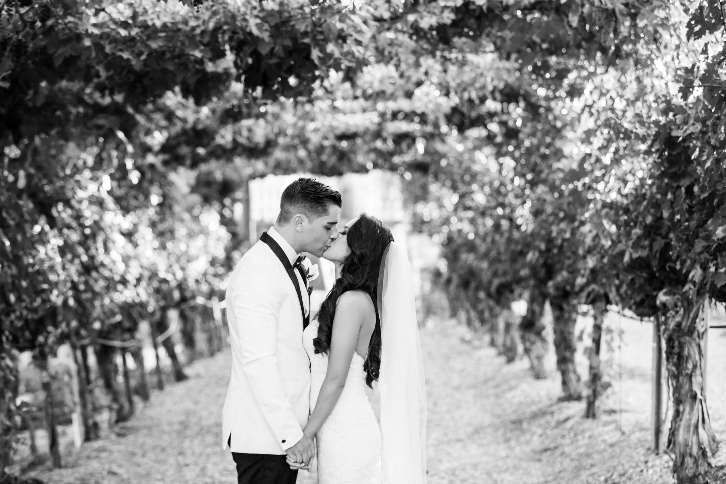 Wilson Creek Winery Wedding, Quynhnhi and Jacob Wedding Photo #73 by True Photography