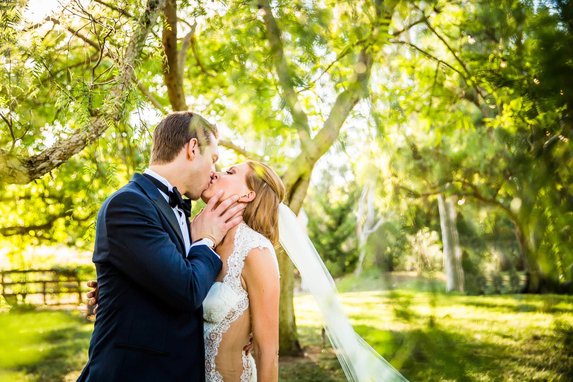Private Residence Wedding, Alison and Andrew Wedding Photo #93 by True Photography