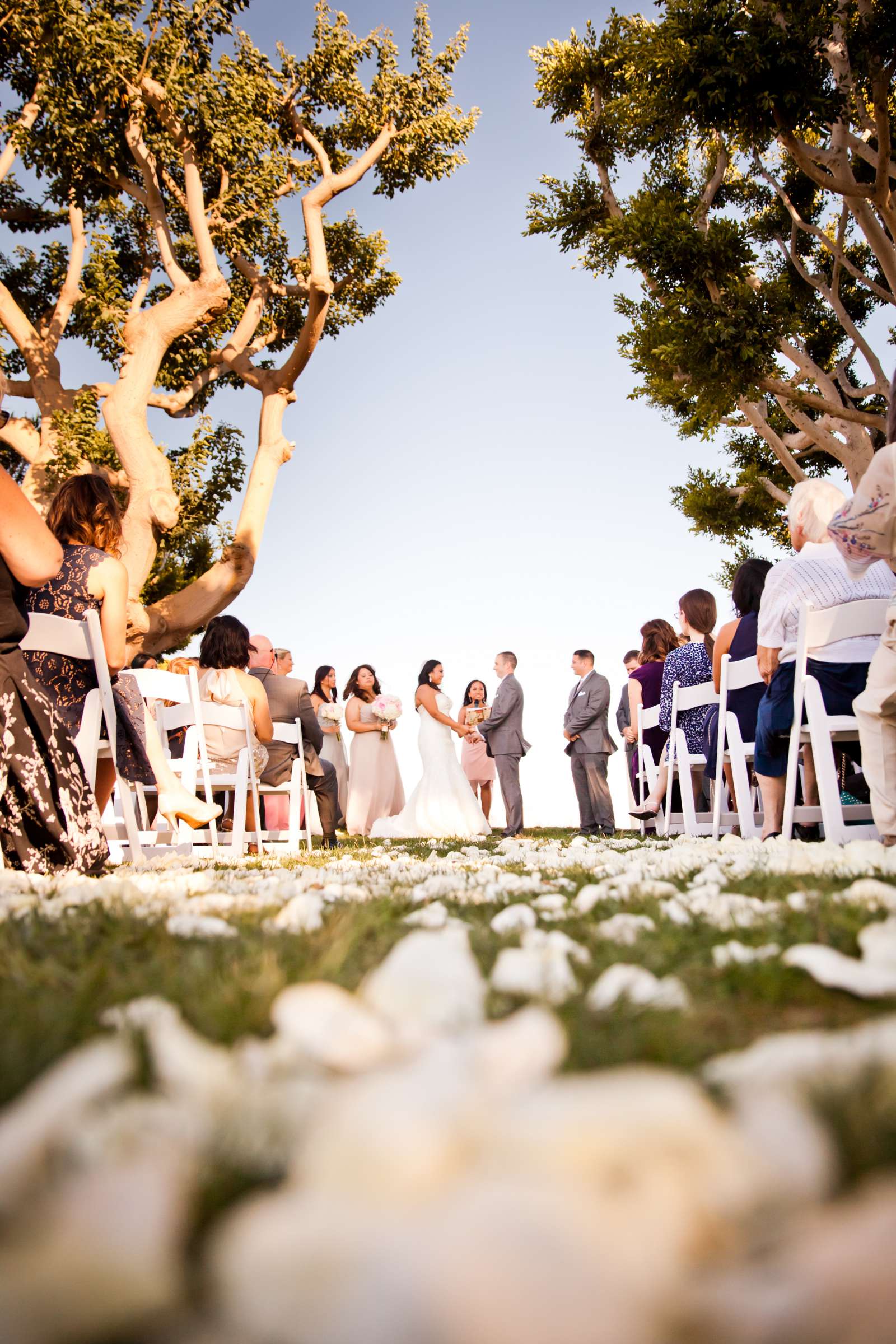 Ultimate Skybox Wedding, Rachel and Sean Wedding Photo #171883 by True Photography