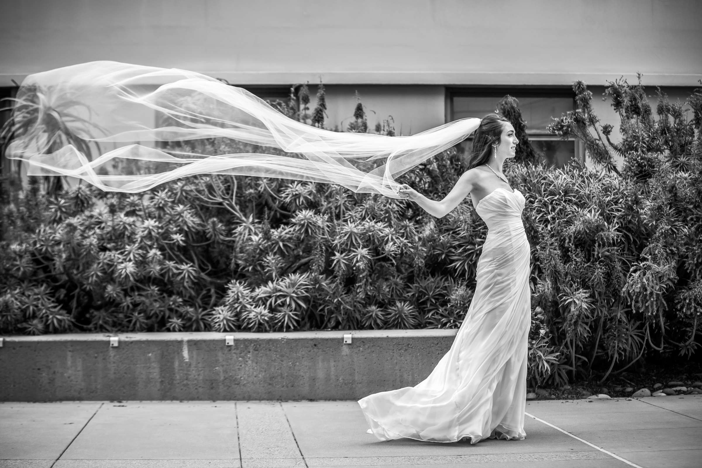 Scripps Seaside Forum Wedding coordinated by Sweet Blossom Weddings, Lauren and Spencer Wedding Photo #4 by True Photography