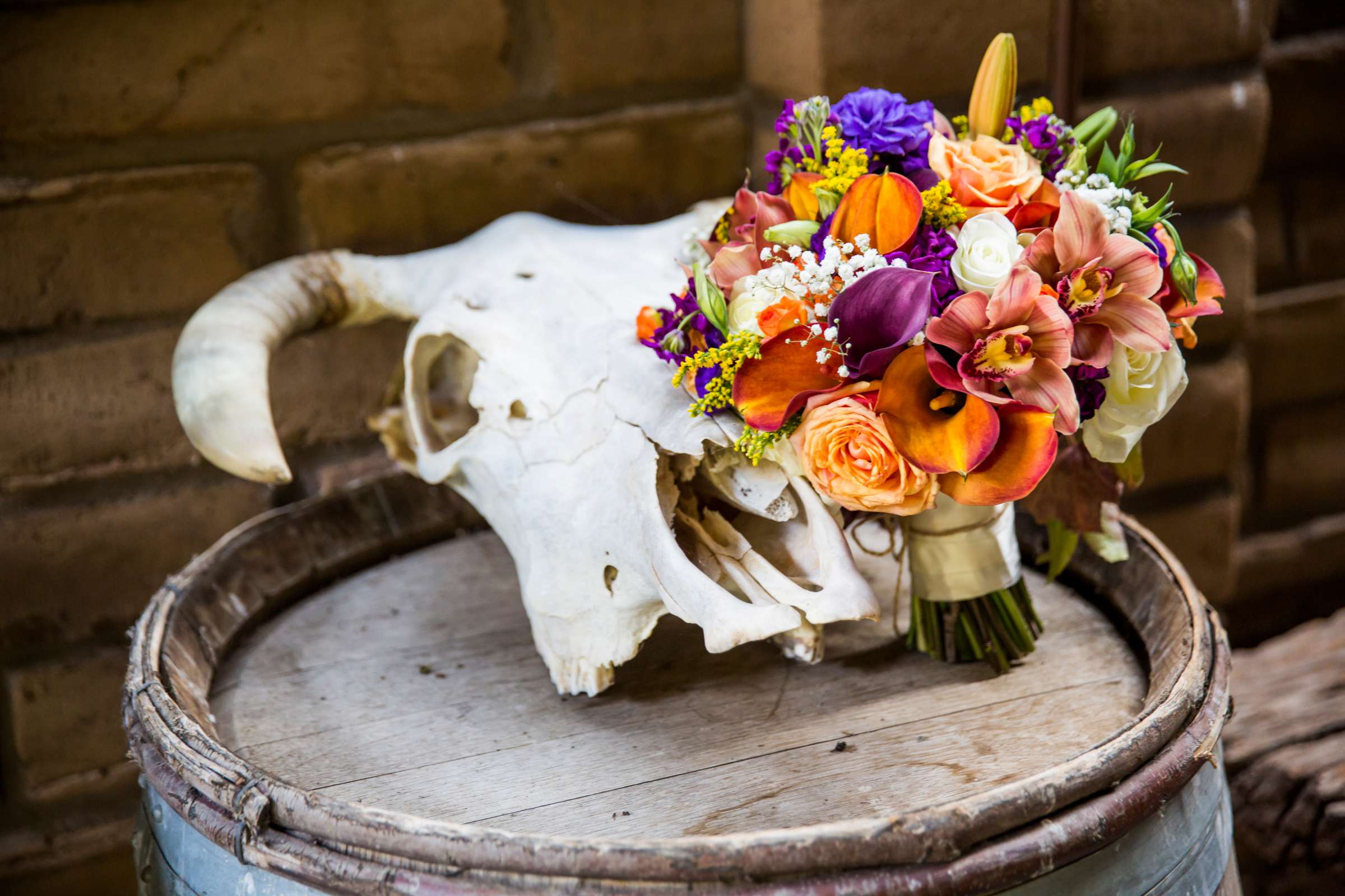 Condors Nest Ranch Wedding, Carly and Cody Wedding Photo #181093 by True Photography